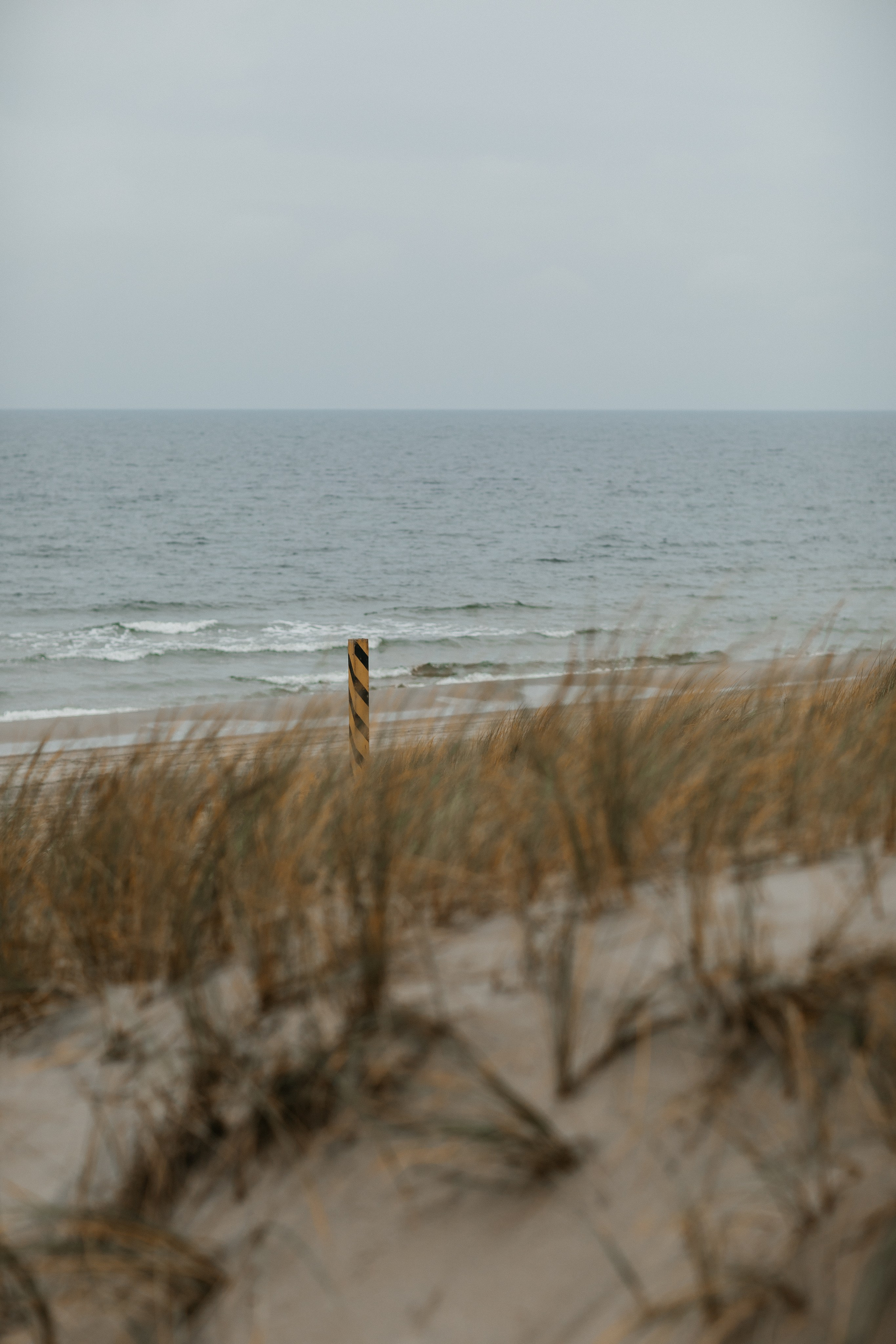 Балтийск/Калининград. Свадебный и семейный фотограф/видеограф в Краснодаре Наталья Осинская
