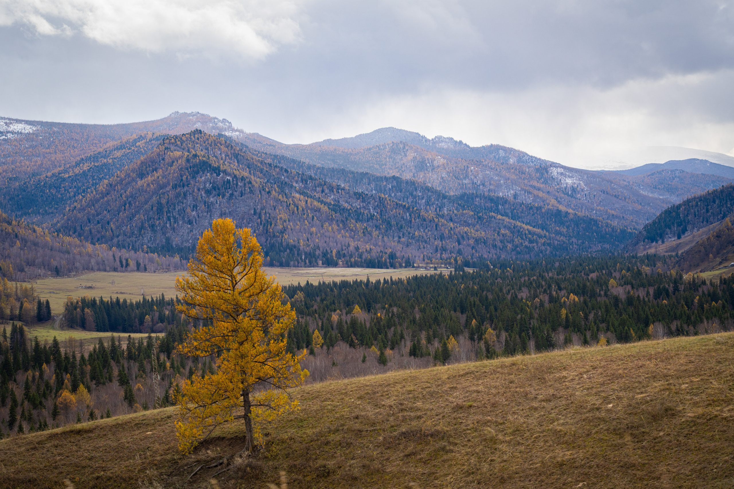 Чуйский тракт. Фотографии Тиграна Худавердяна