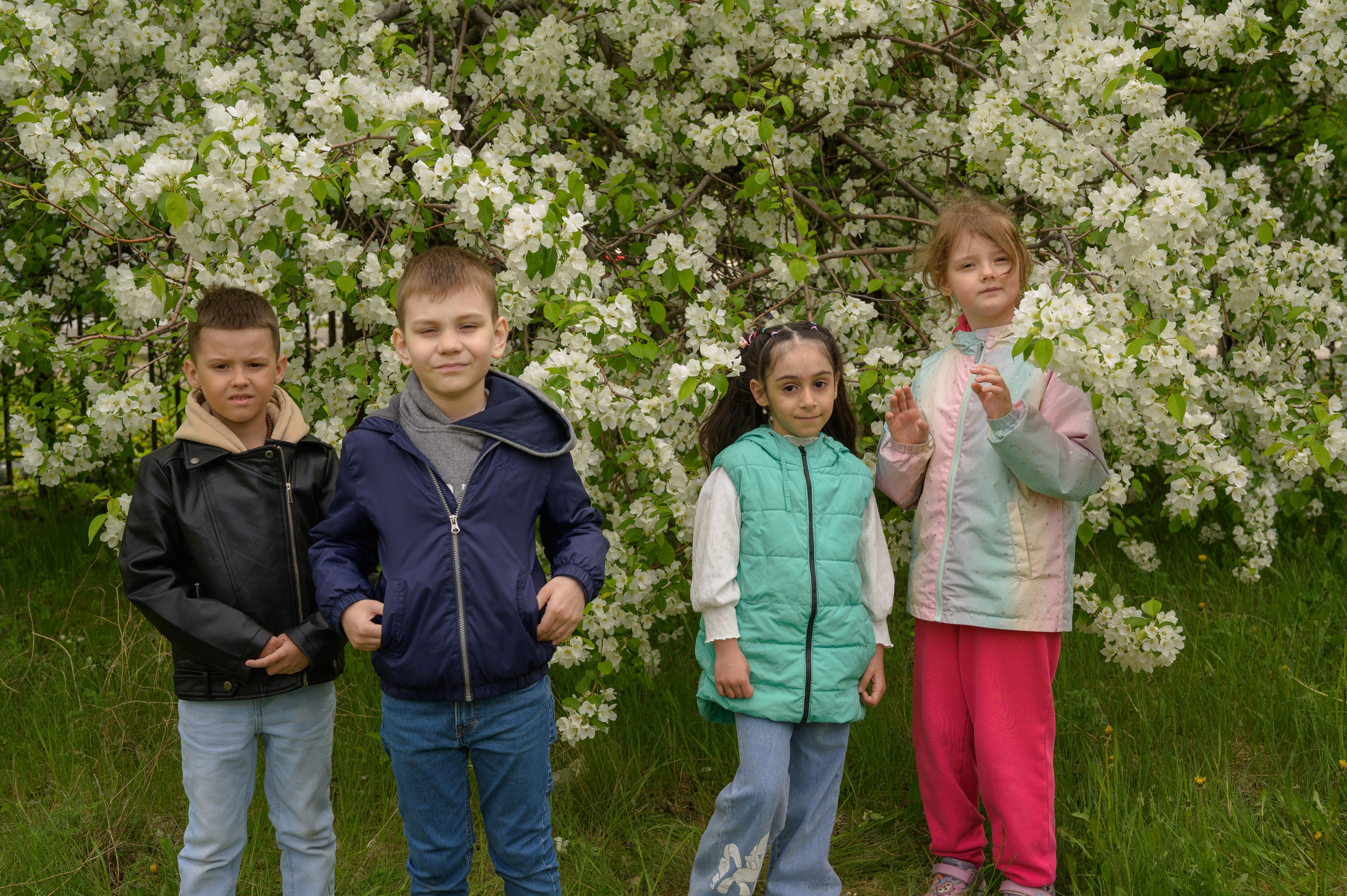Д/с № 3к3 группа «Звёздочки» (индивидуальный дизайн книги). Фотограф новорожденных, семейный детский в Тюмени Татьяна Морозова
