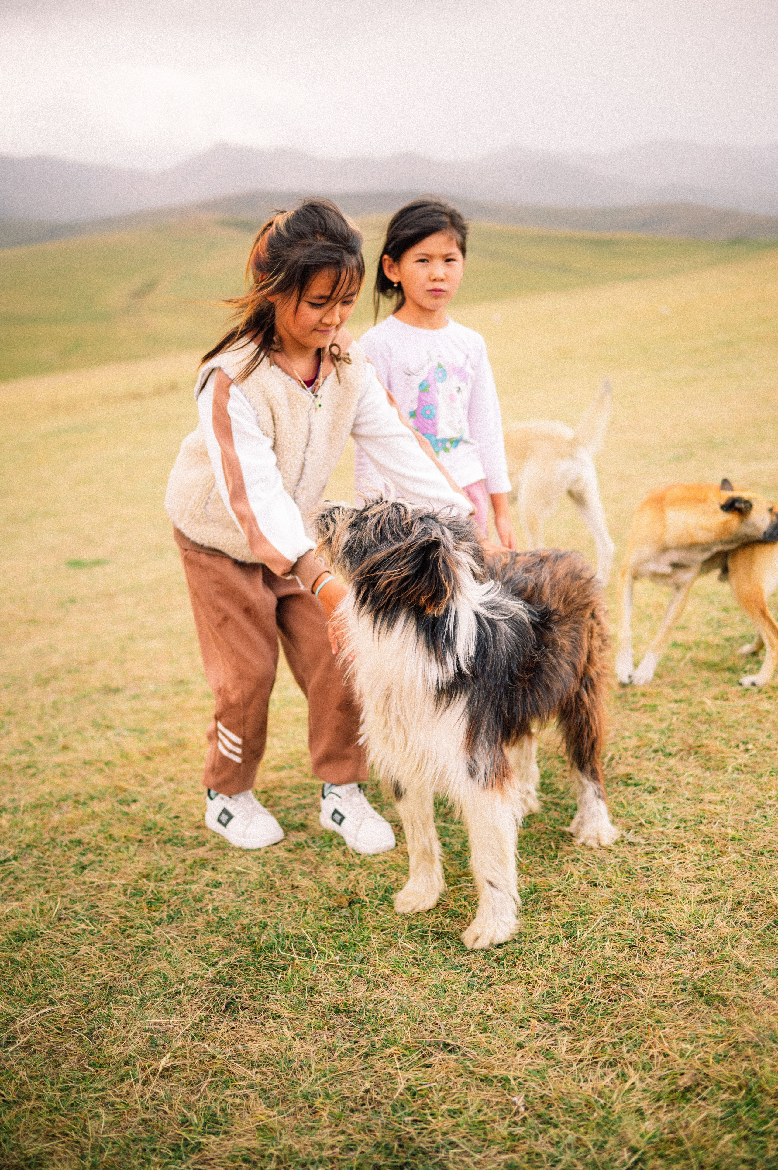 Плато Ассы: июль 2025. Фотограф в Алматы — Дарья Фёдорова