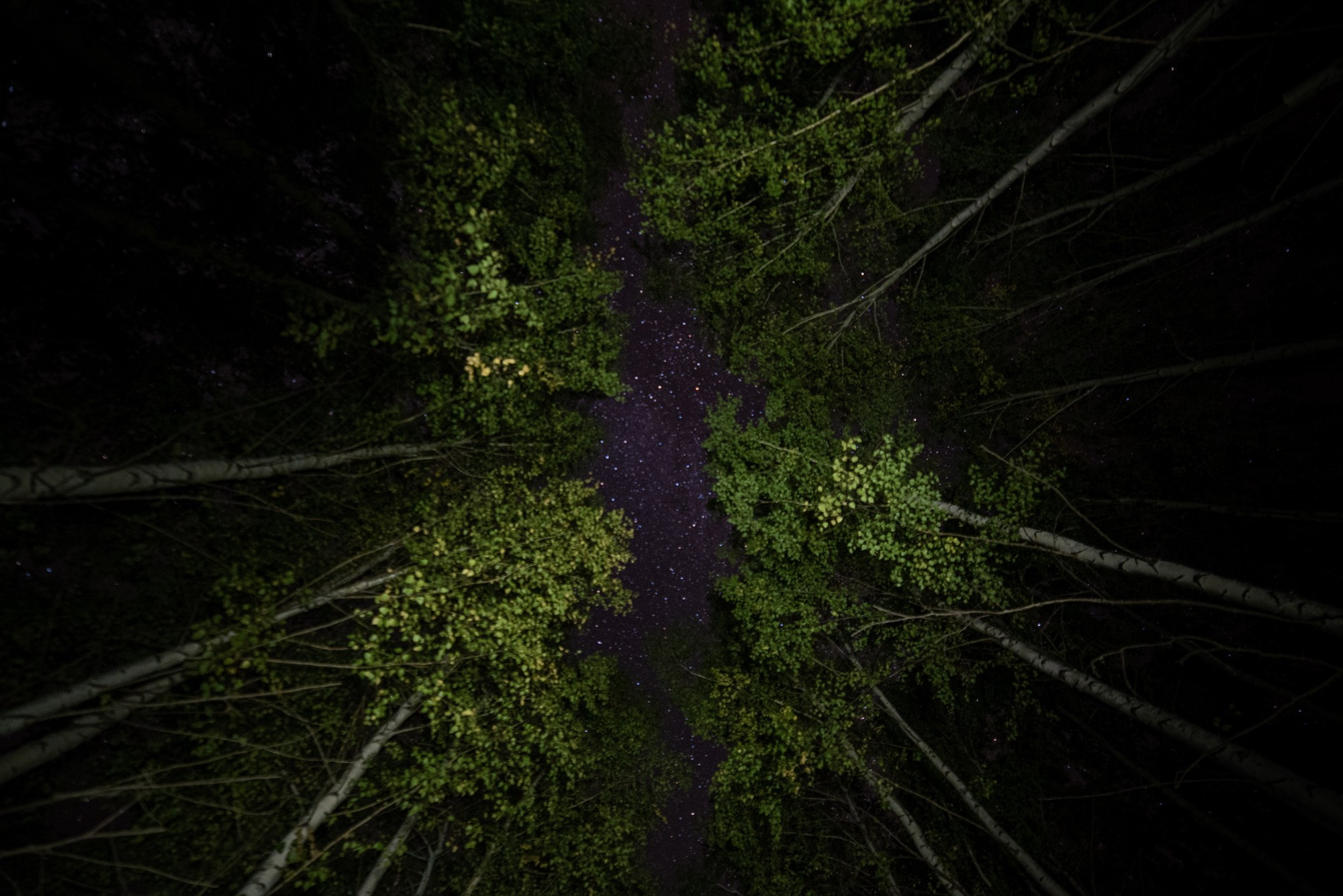 Синдром предков. Наталия Шульгина — визуальный художник, фотограф