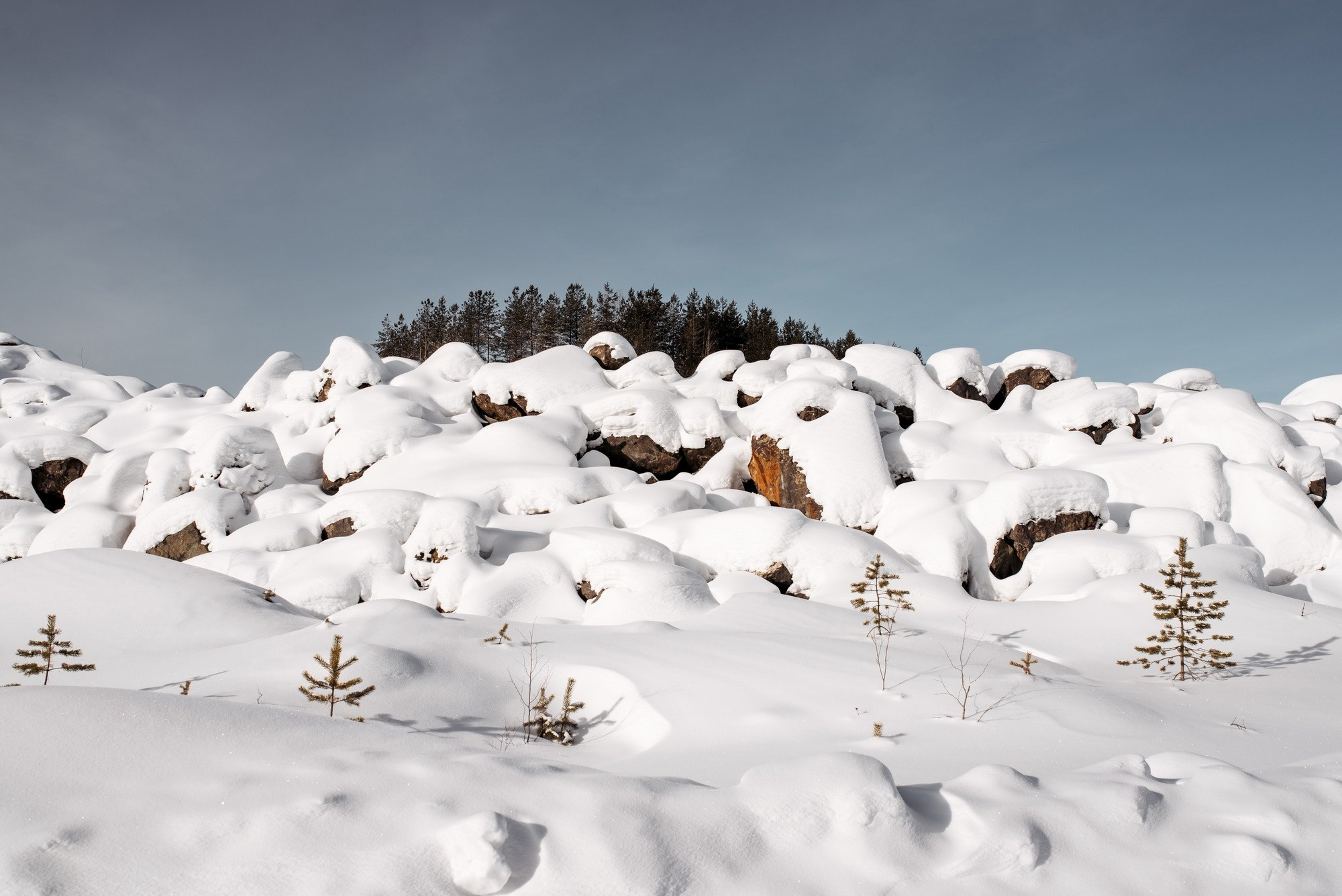 Синдром предков. Наталия Шульгина — визуальный художник, фотограф