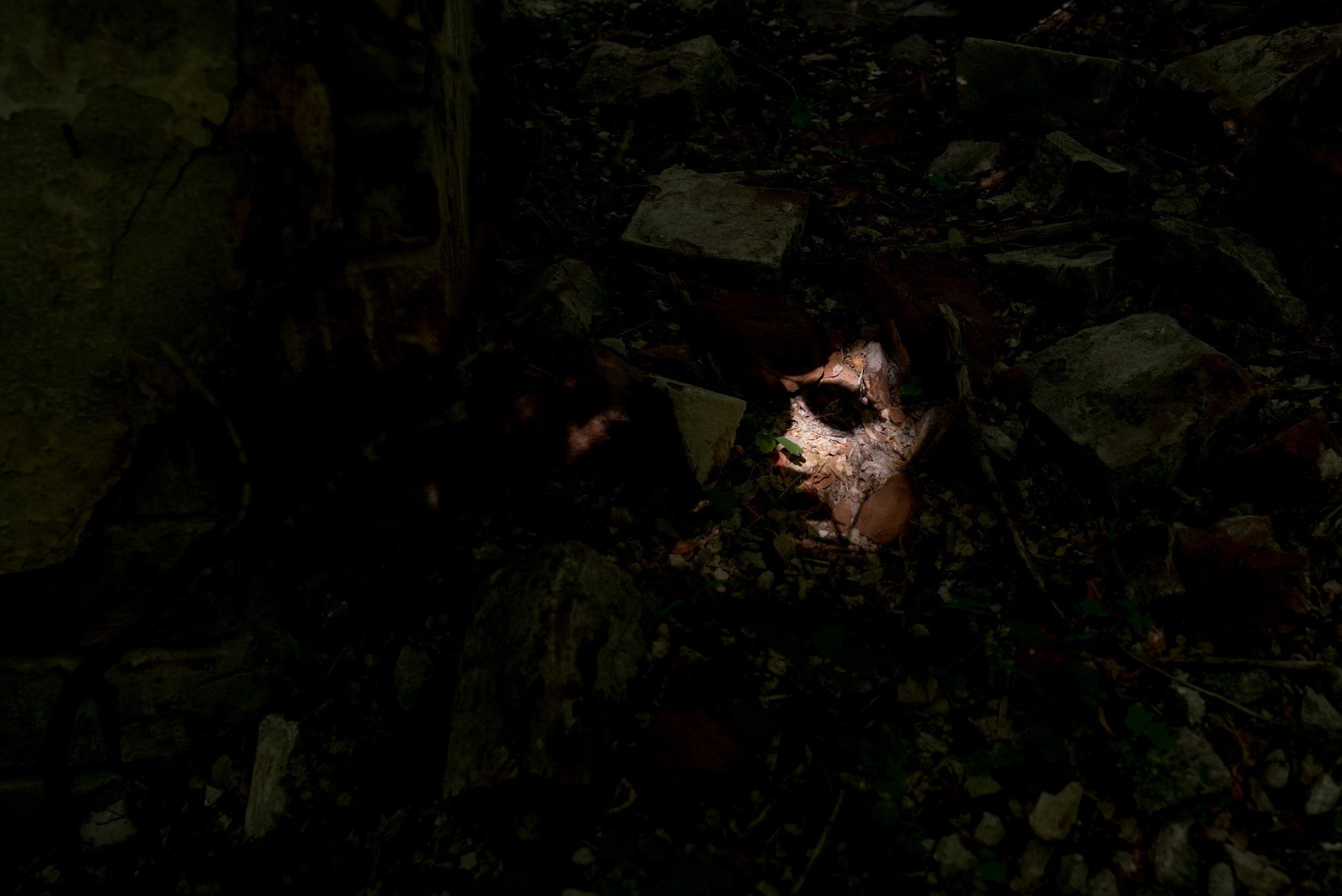 Синдром предков. Наталия Шульгина — визуальный художник, фотограф