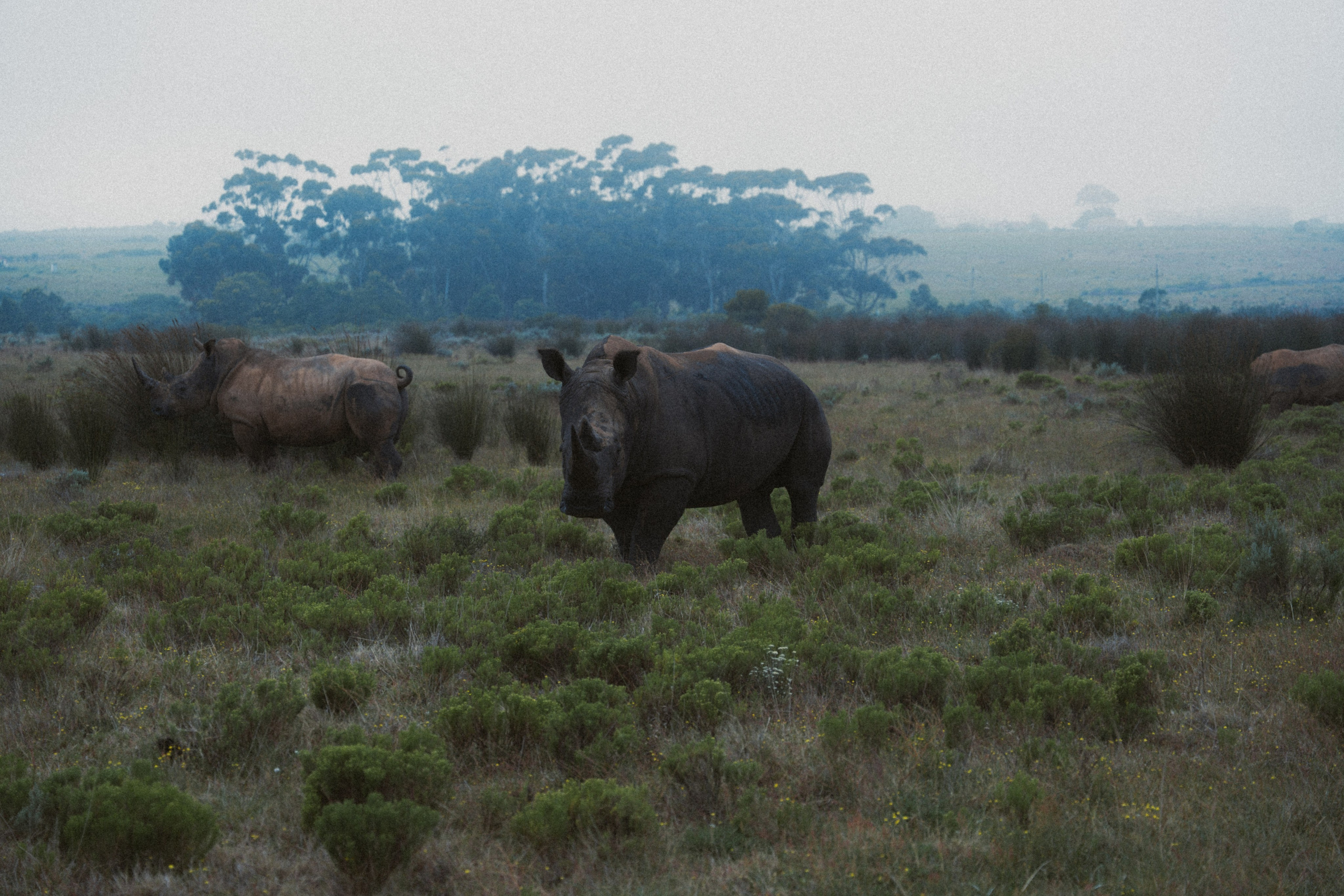 Africa/UAR. @oljiofilm: Олег Иванов — фотограф