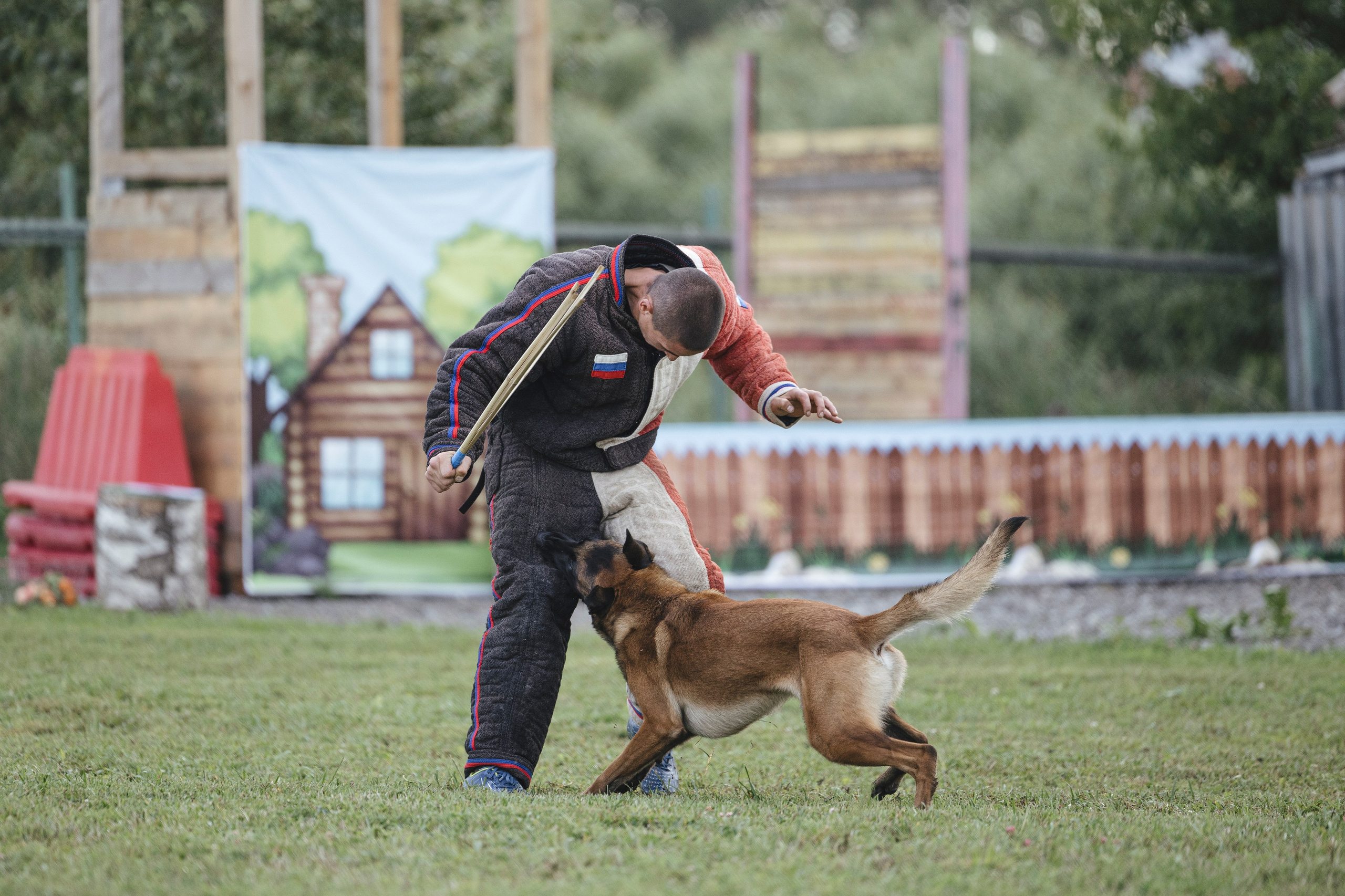 08.08.25-10.08.25 ЧР по мондьорингу г. Вологда. Фотограф-анималист Анна Маринич