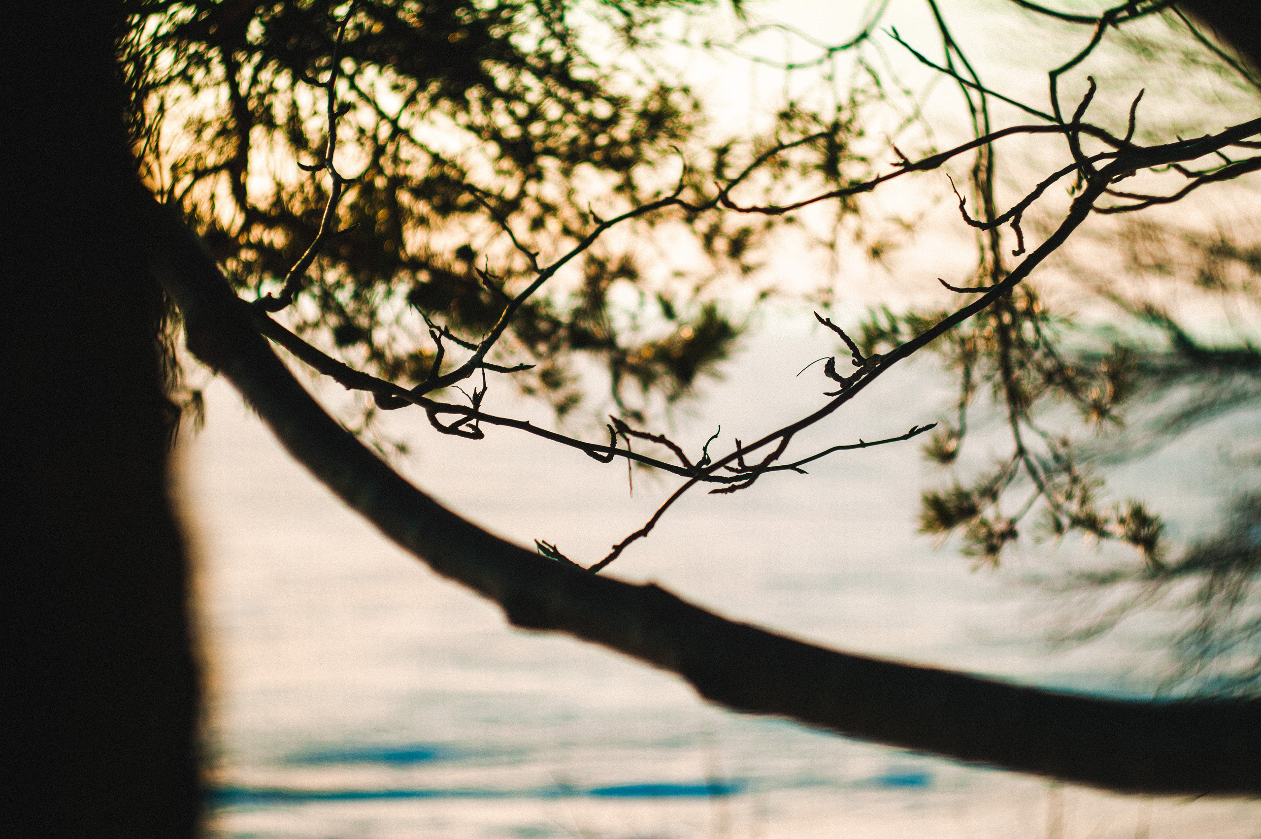 Narcissist. Den Mirov — Photographer, Musician