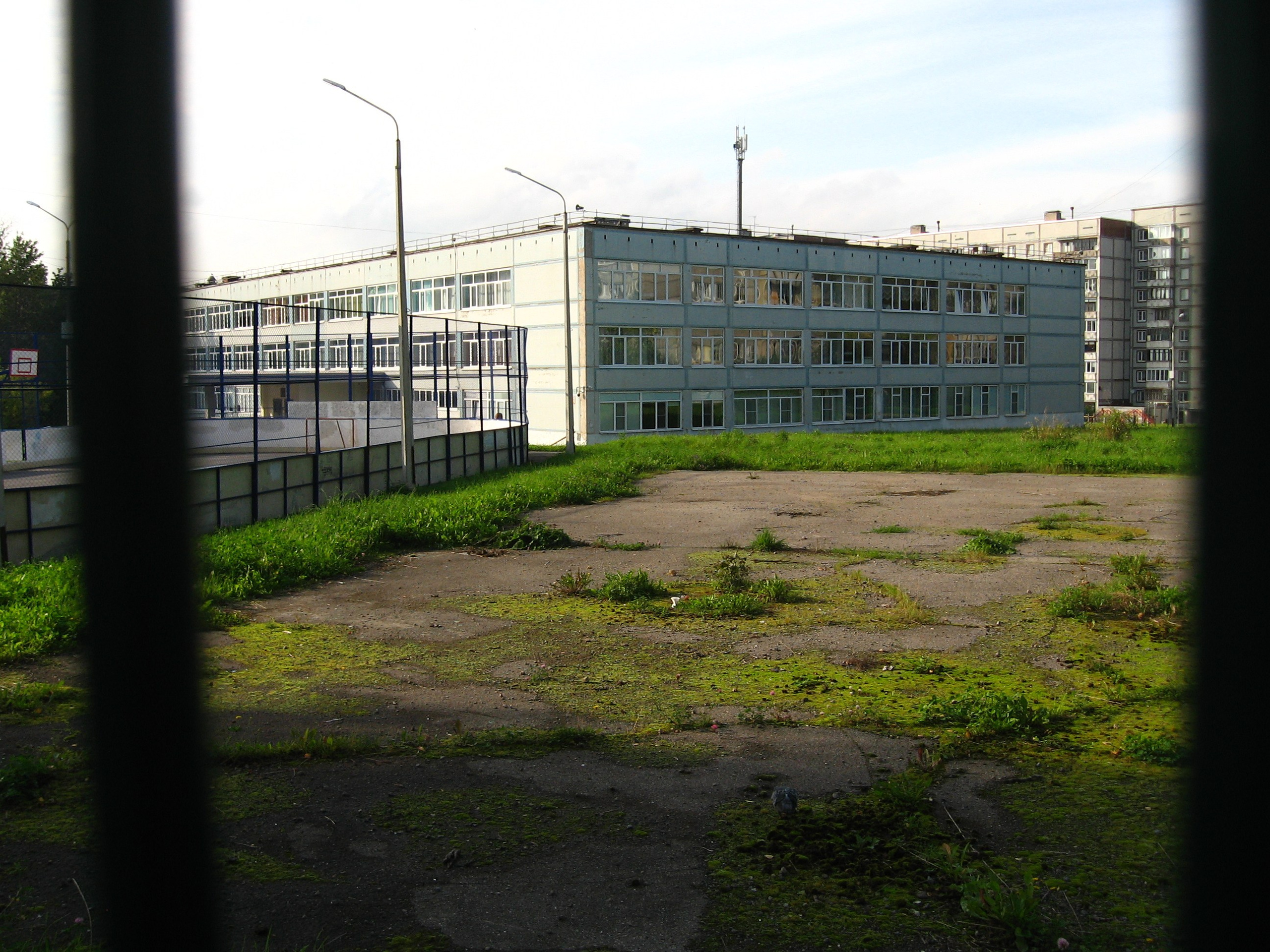 Август 2025. Den Mirov — Фотограф, Музыкант