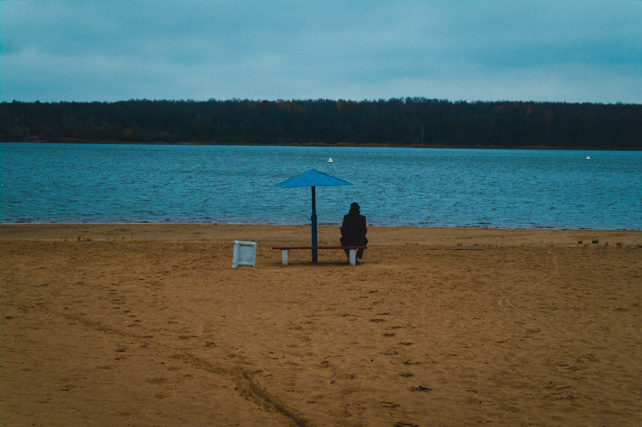 Прогулка с поэтом. Den Mirov — Фотограф, Музыкант