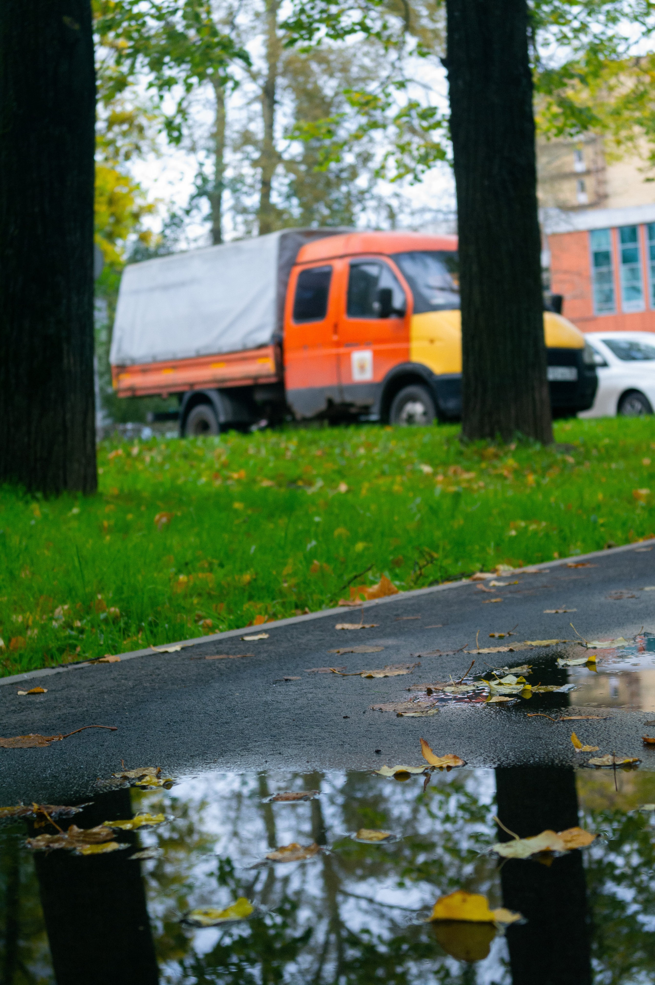 Сентябрь 2025. Den Mirov — Фотограф, Музыкант