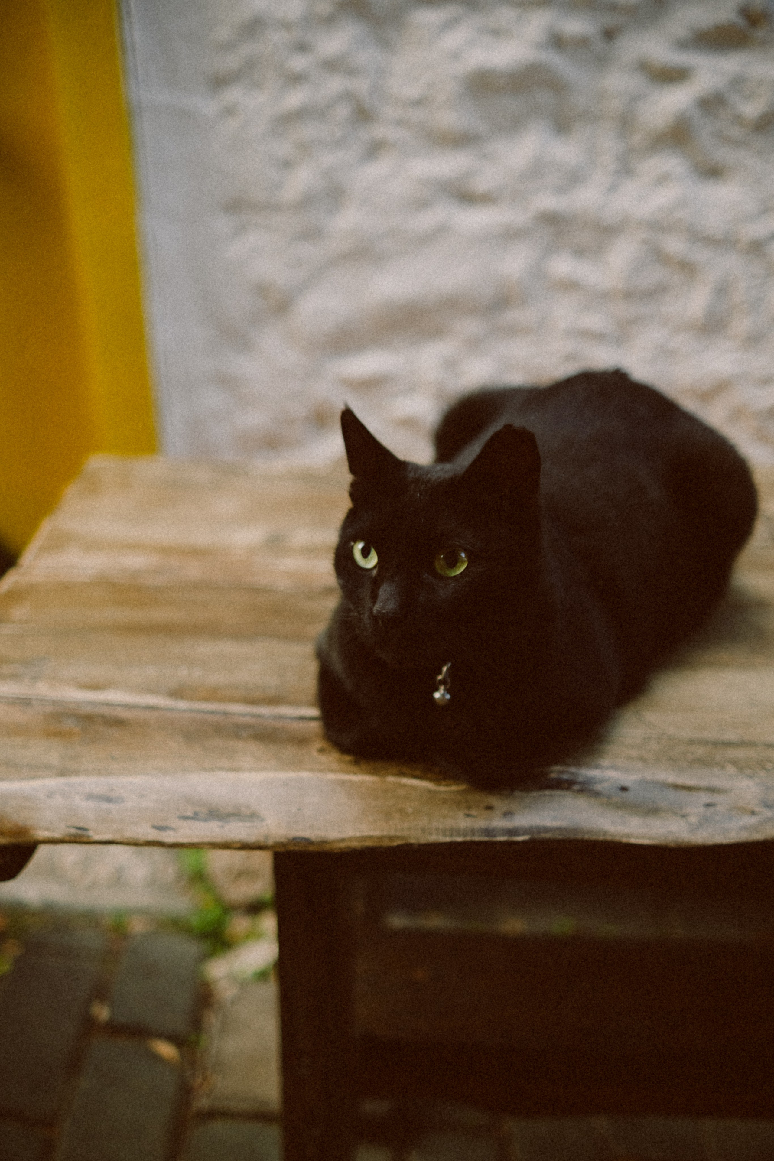 Aliona. Фотограф Ксения Дзюбак Самара-Москва