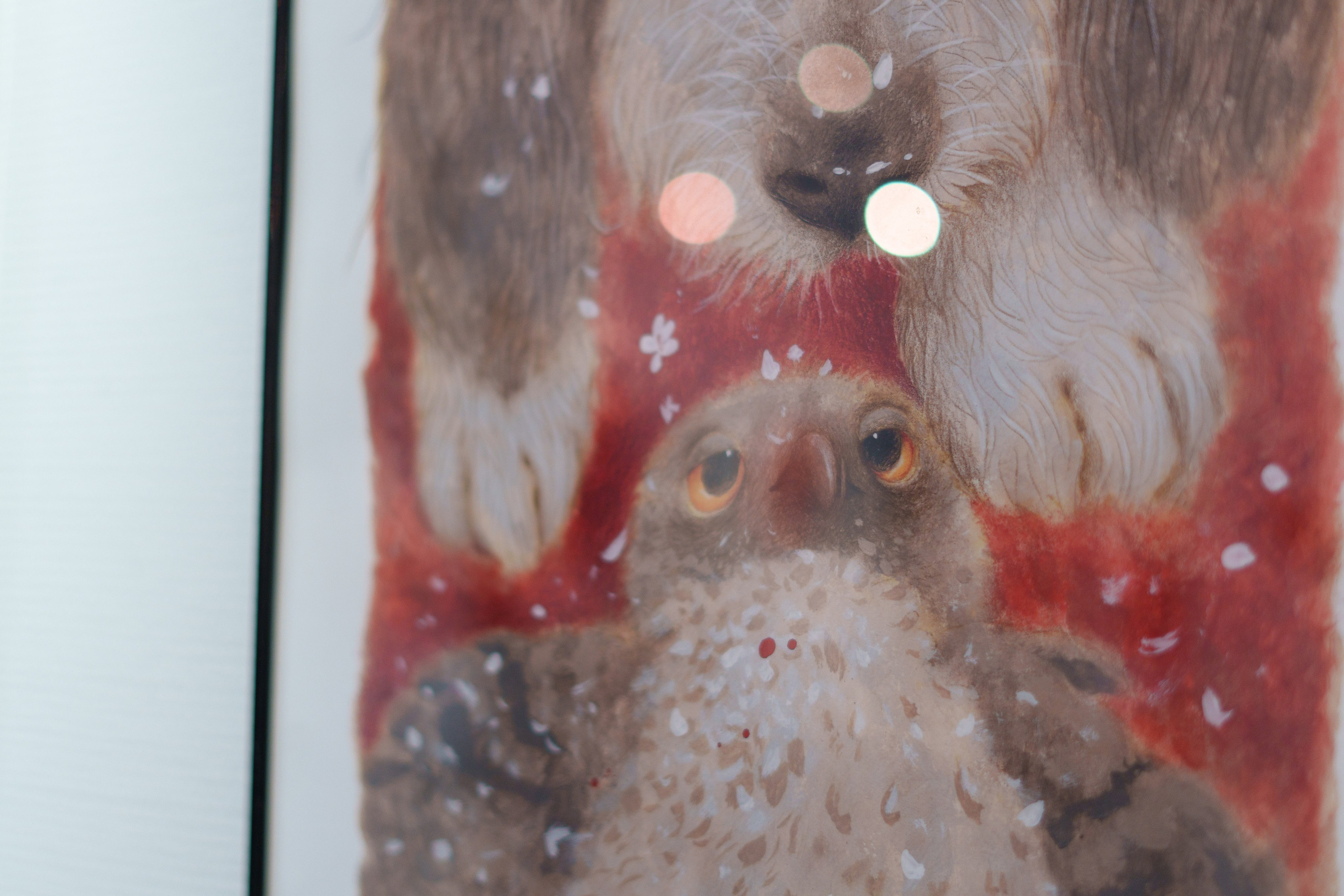 Открытие 11 фестиваля анималистики «Зооарт». Фотограф в Санкт-Петербурге Ибрагимова Алина