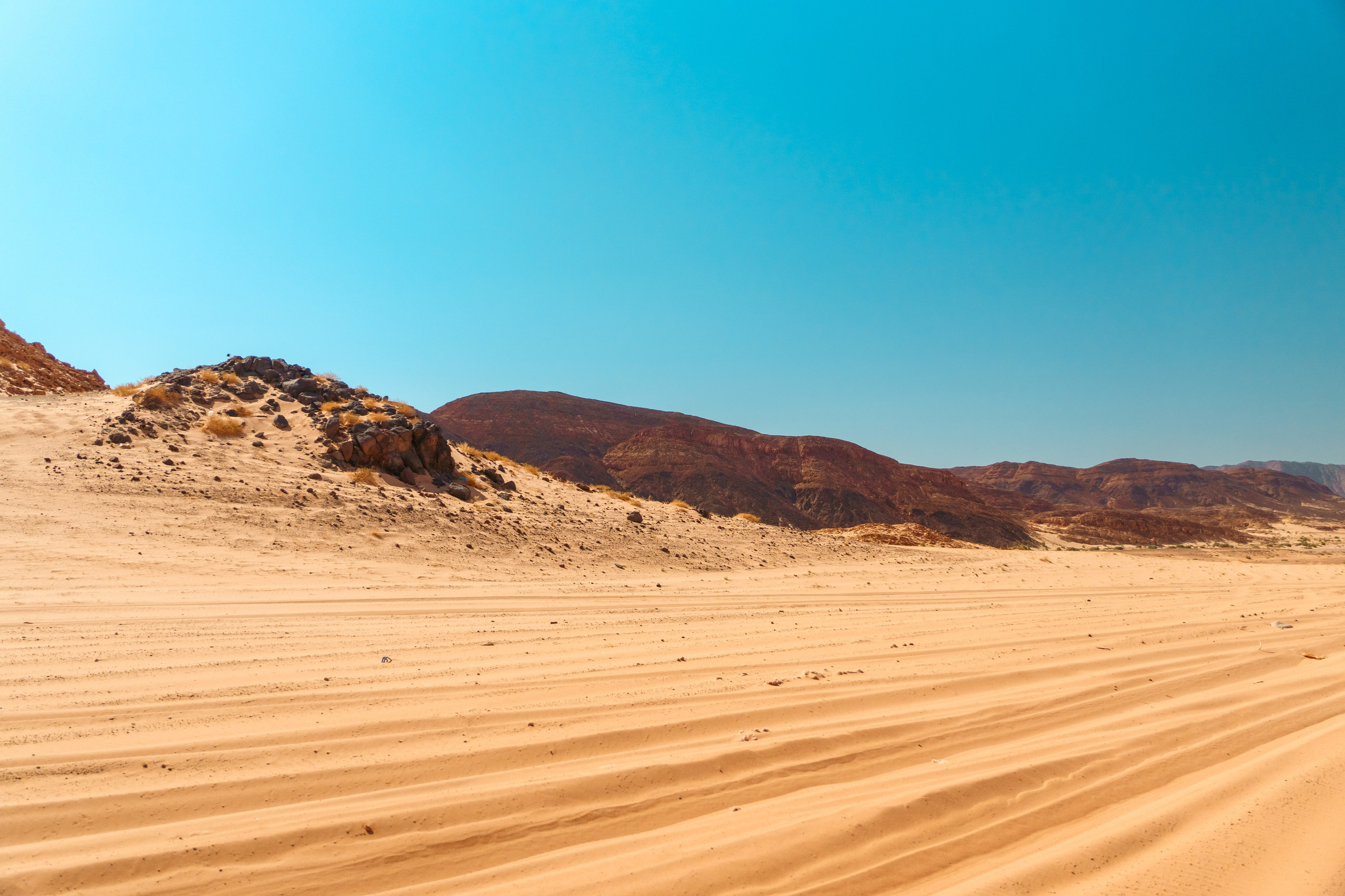 Природа. Фотограф в Санкт-Петербурге Ибрагимова Алина