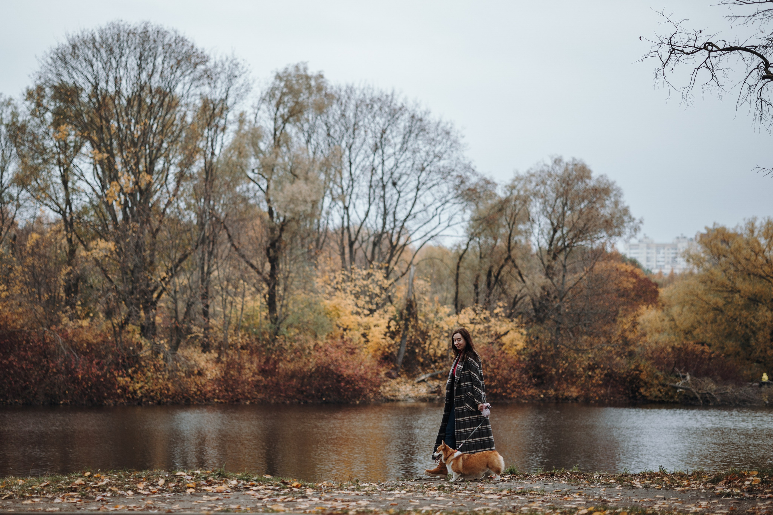 Юля и Терри. Фотограф — Анималист | Санкт-Петербург