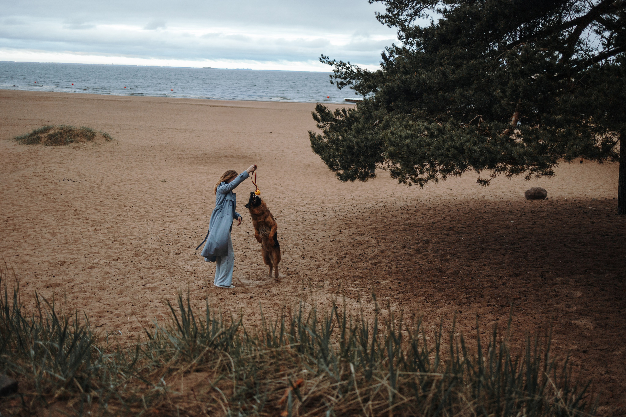 Катя и Агат. Фотограф — Анималист | Санкт-Петербург