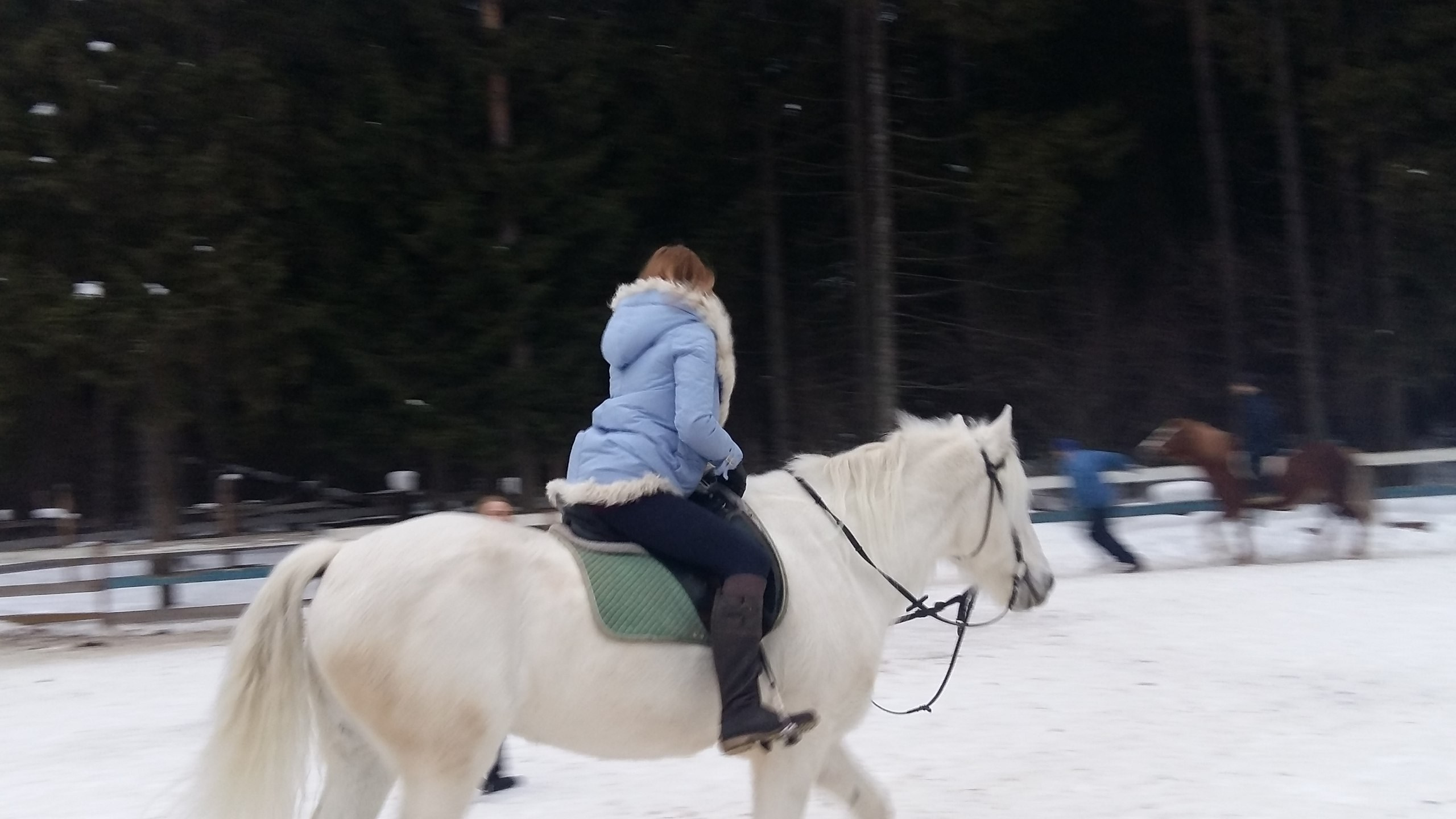 Активные выходные |18-19.02.2017. Галерея Фантим