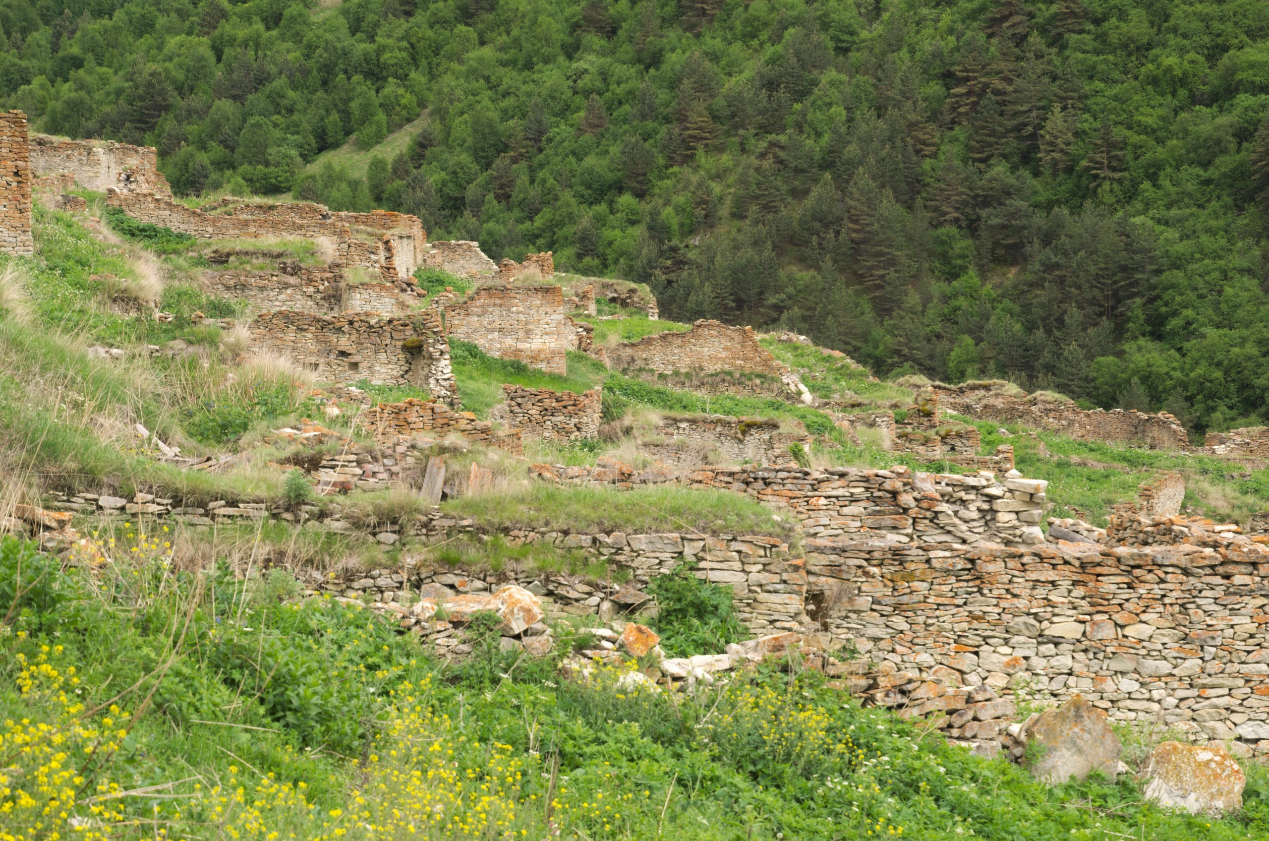 Чечня+Ингушетия | 10-12.06.2017. Галерея Фантим