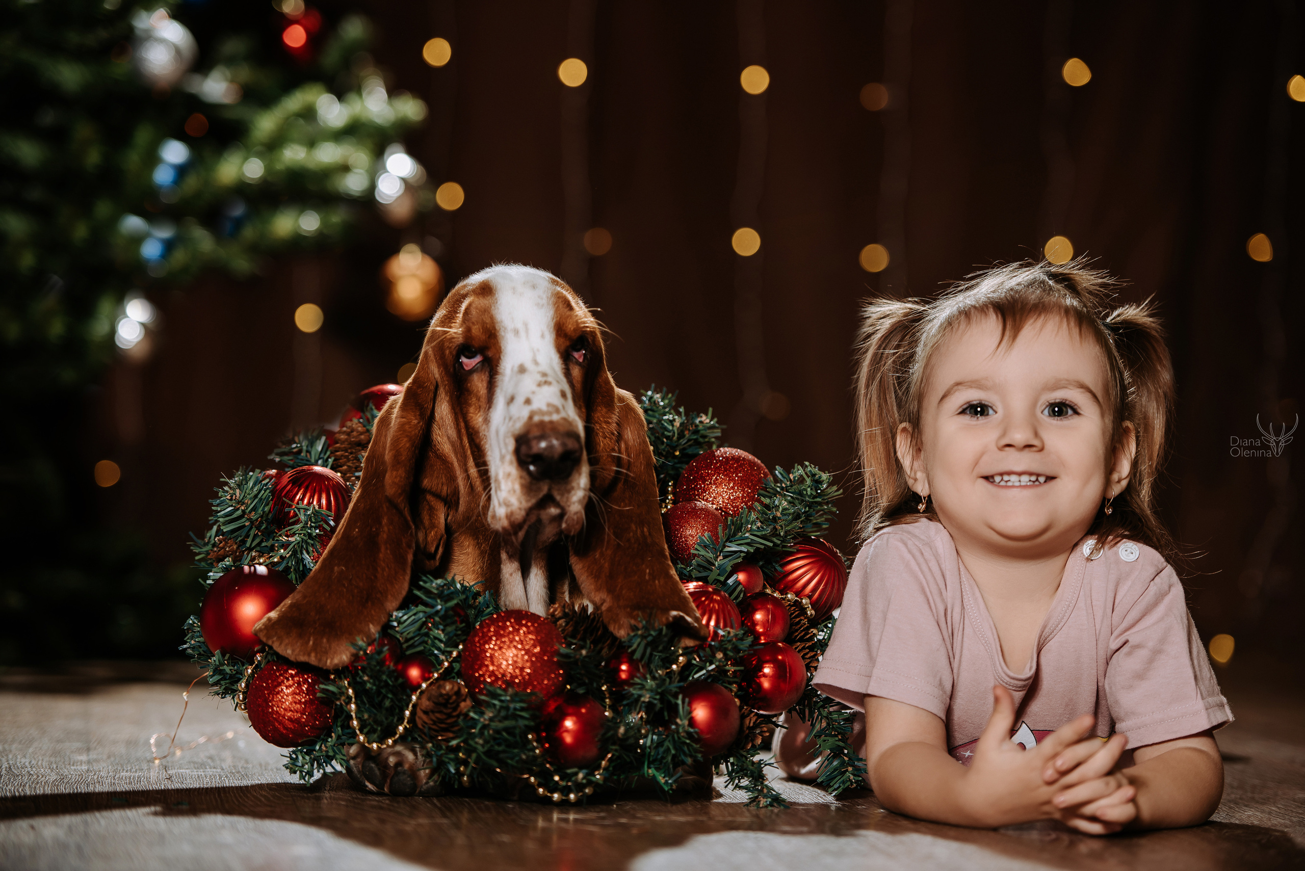 Домашняя фотосессия Братск/Красноярск. Фотограф Диана Оленина Красноярск / Братск
