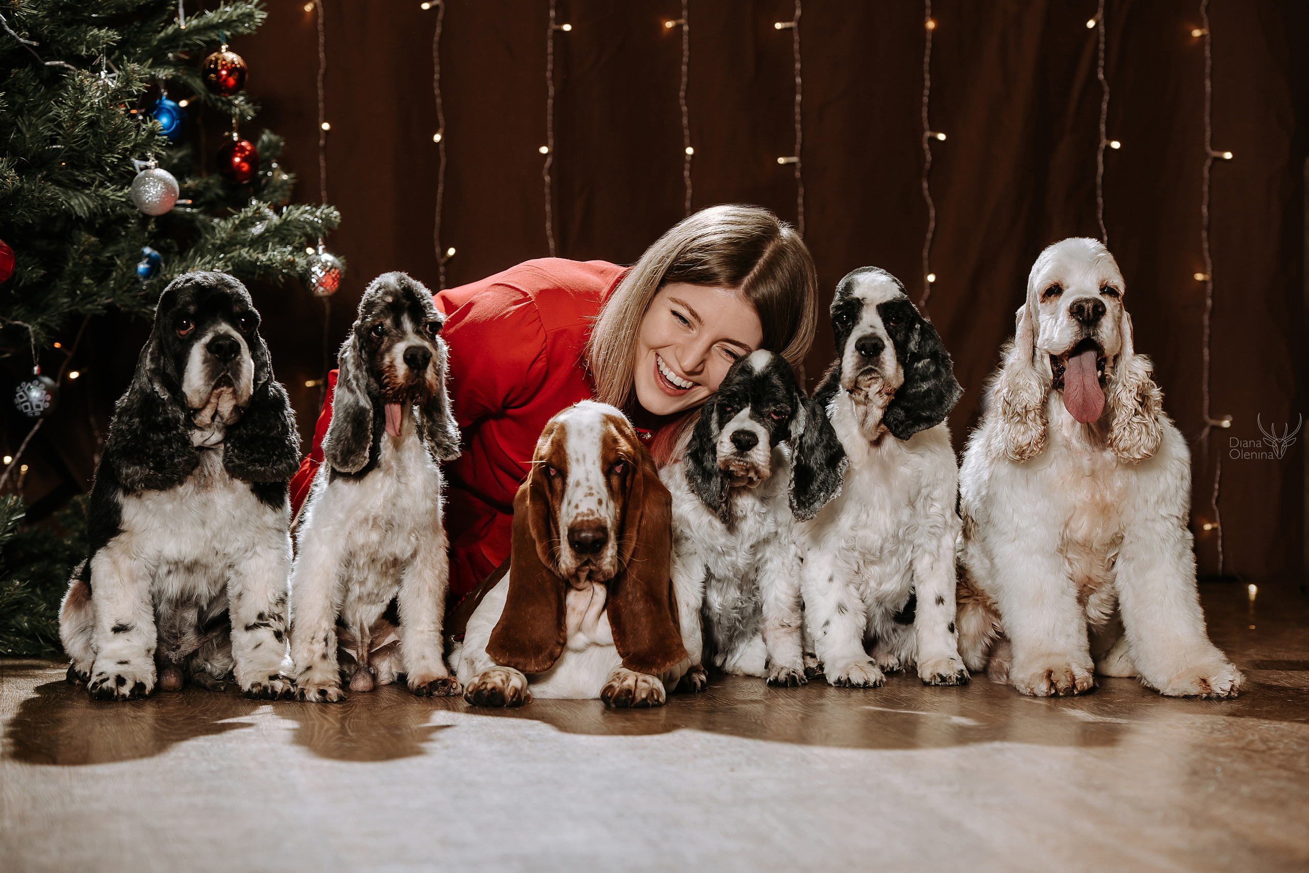 Домашняя фотосессия Братск/Красноярск. Фотограф Диана Оленина Красноярск / Братск