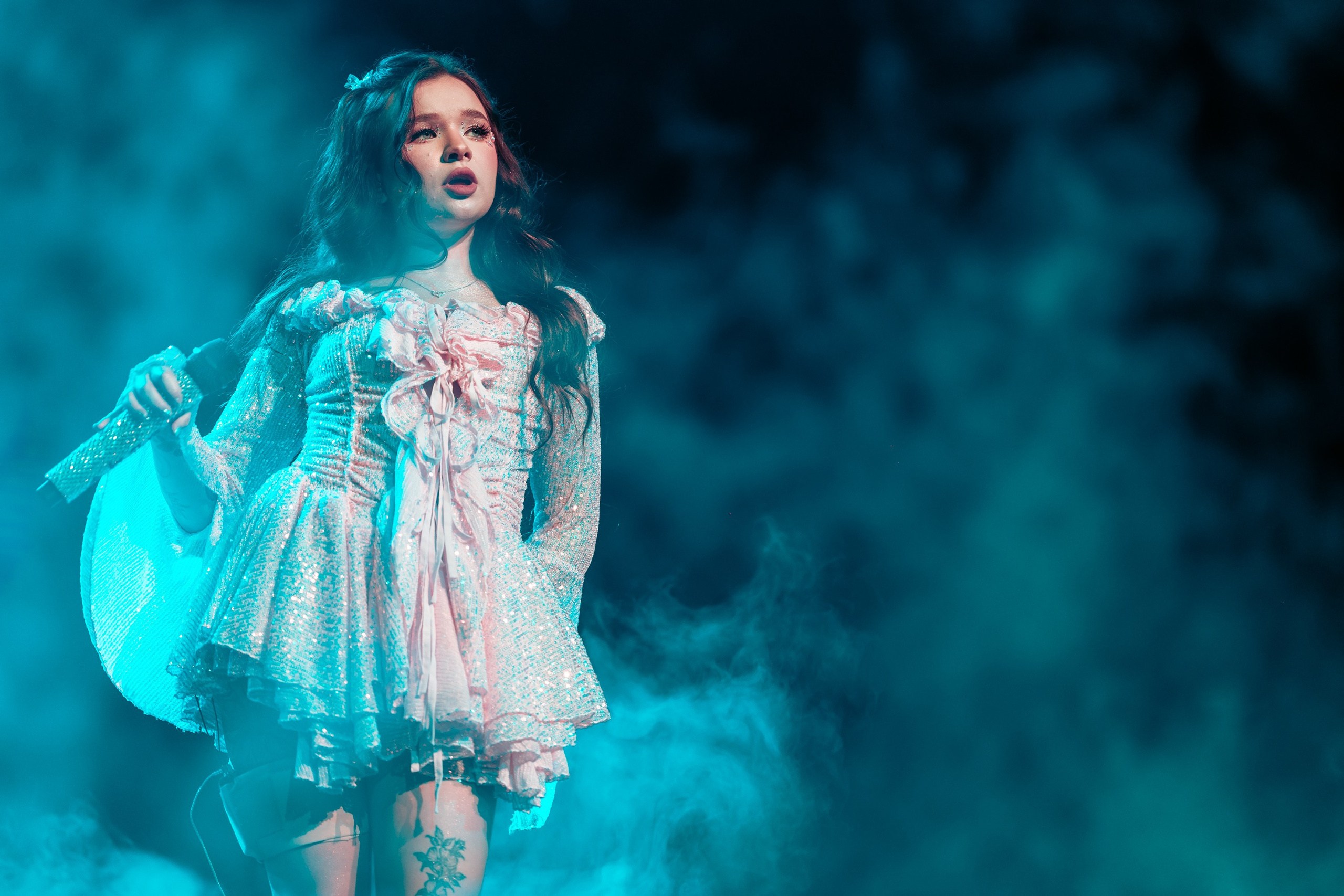 Алена Швец. Магия музыки в кадре: Концертная Фотография