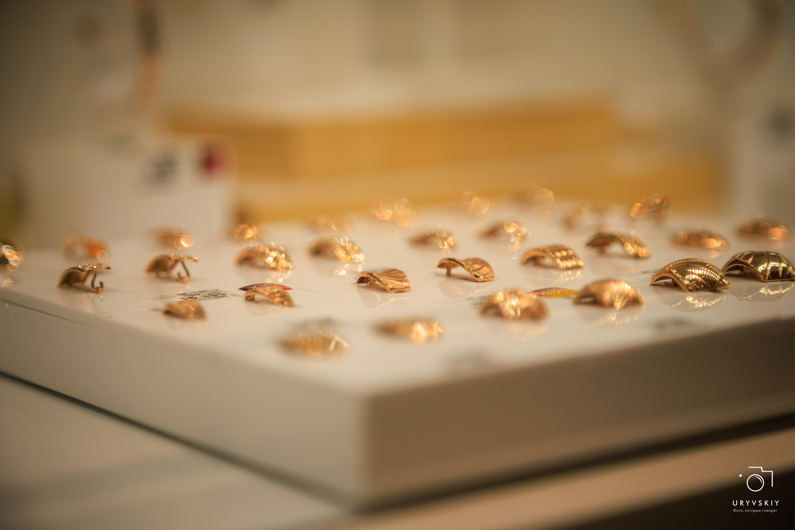 Шоу Top Model — Партнерские съемки. Игорь Урывский. Фотограф Красноярск