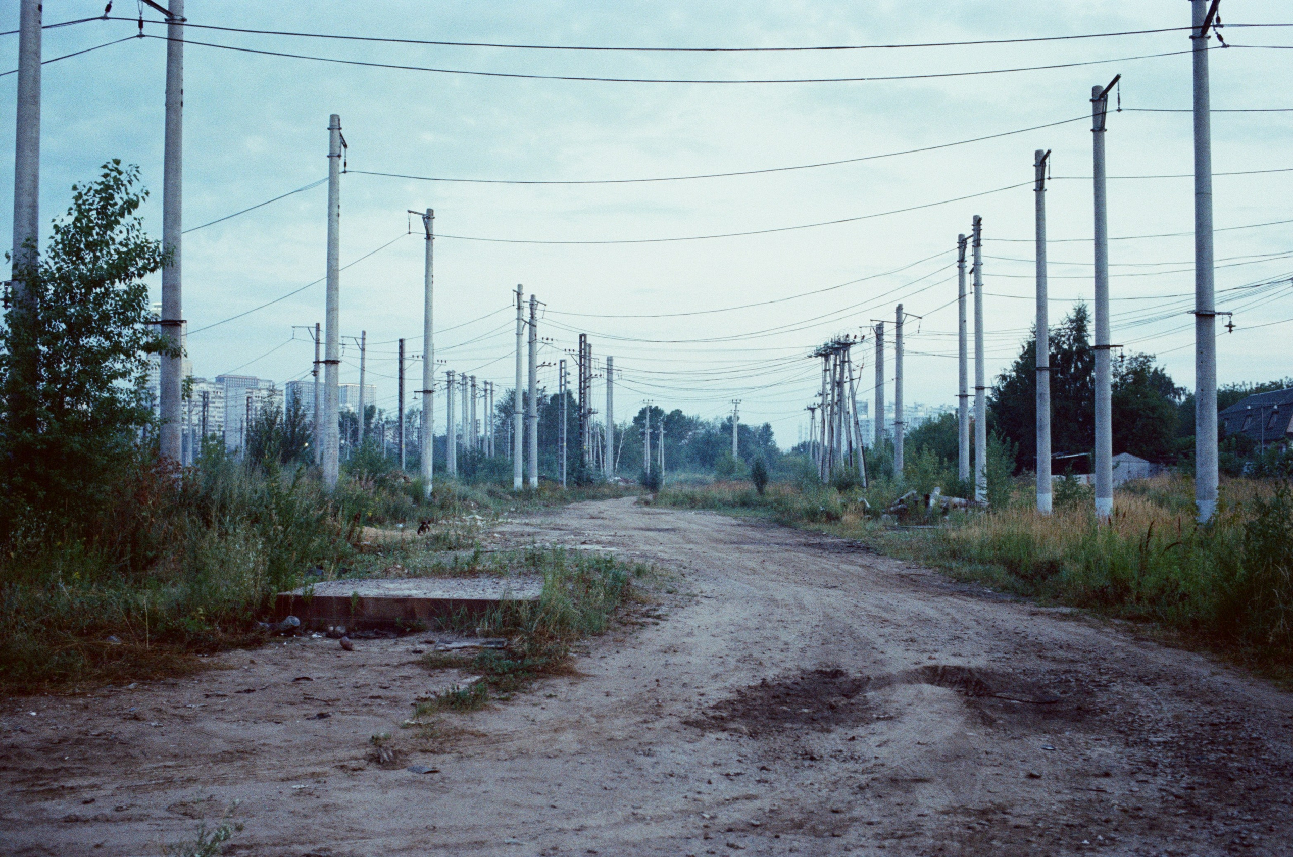 BULL’S HEART (2023). Independent photographer Talib Shillaev