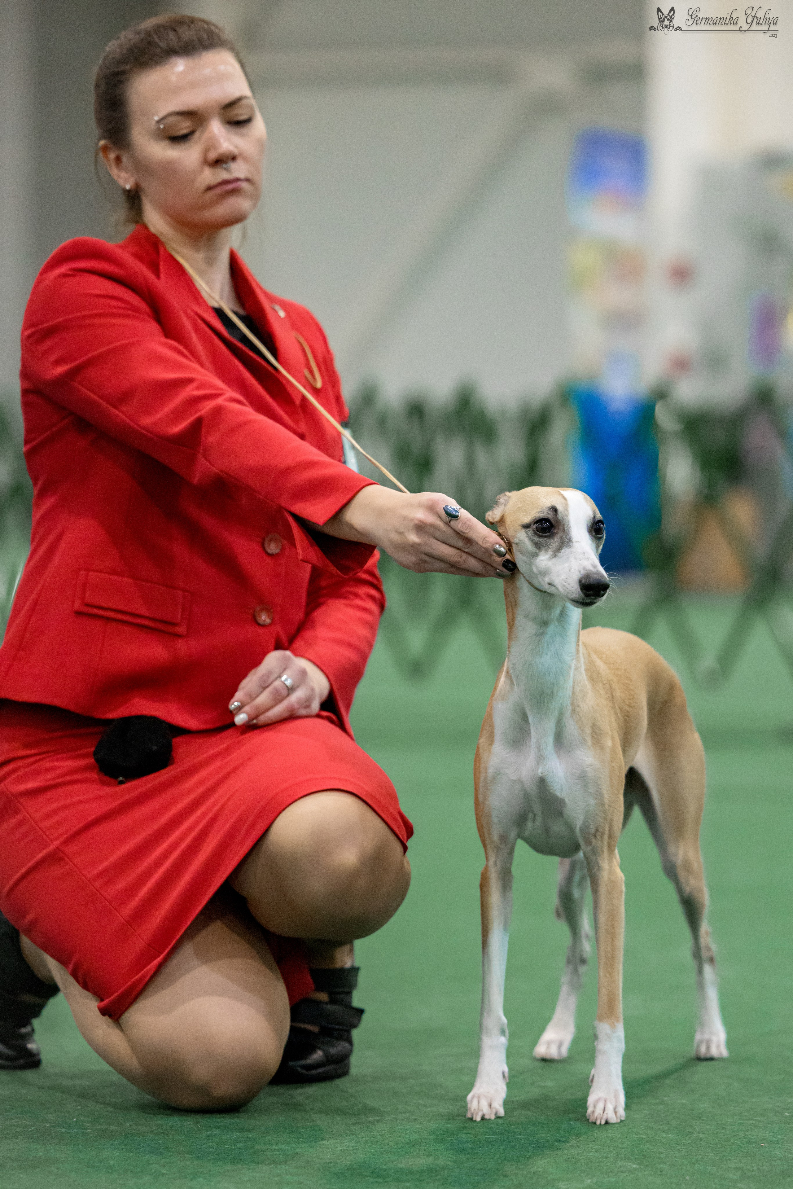 Крокус 3,9 и 10.12.2023. Фотограф-анималист Юлия Германика