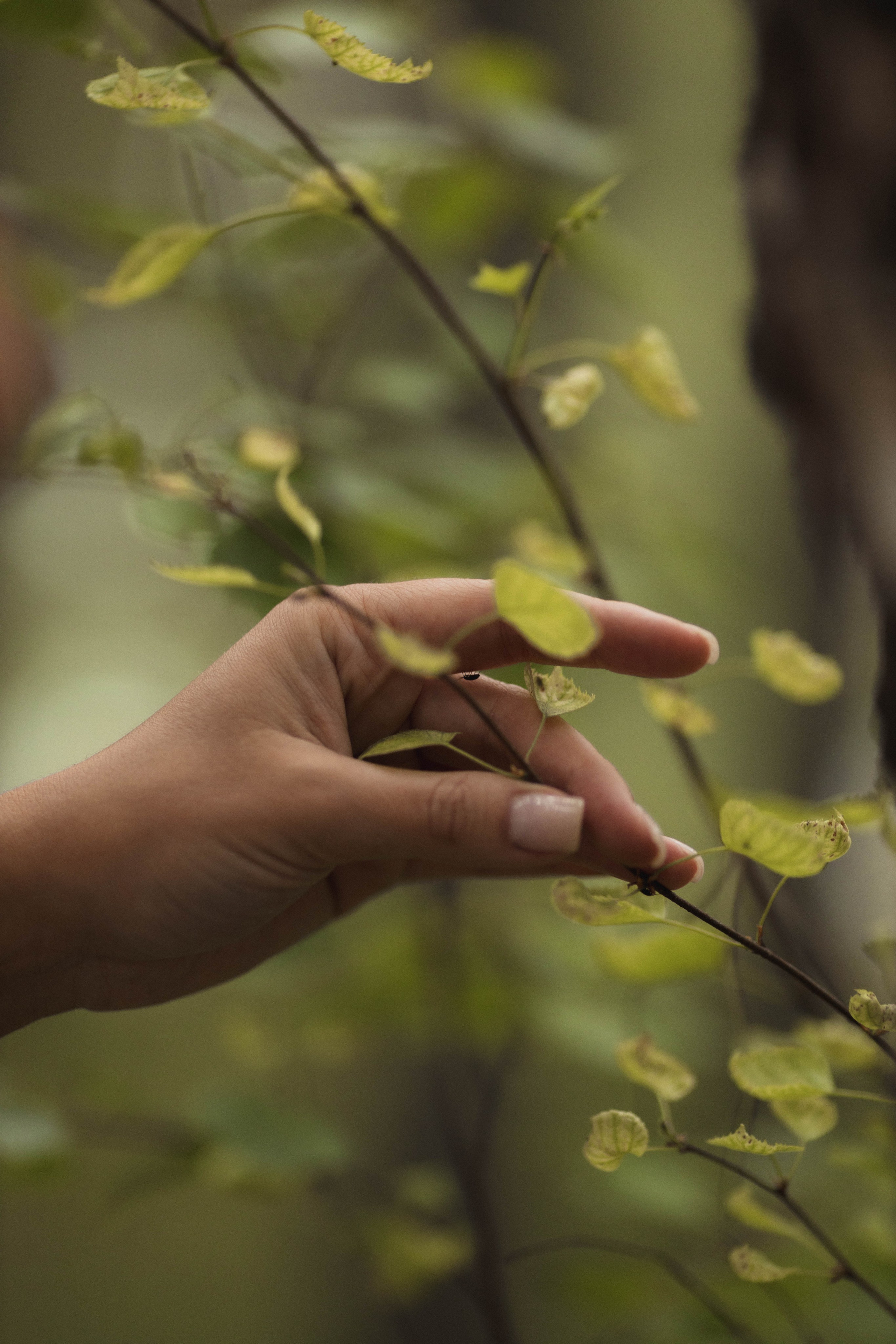 Анна. Семейный и свадебный фотограф Лилия Матонина | Ангарск, Иркутск, Усолье-Сибирское, Байкал (Листвянка, Ольхон), Иркутская область
