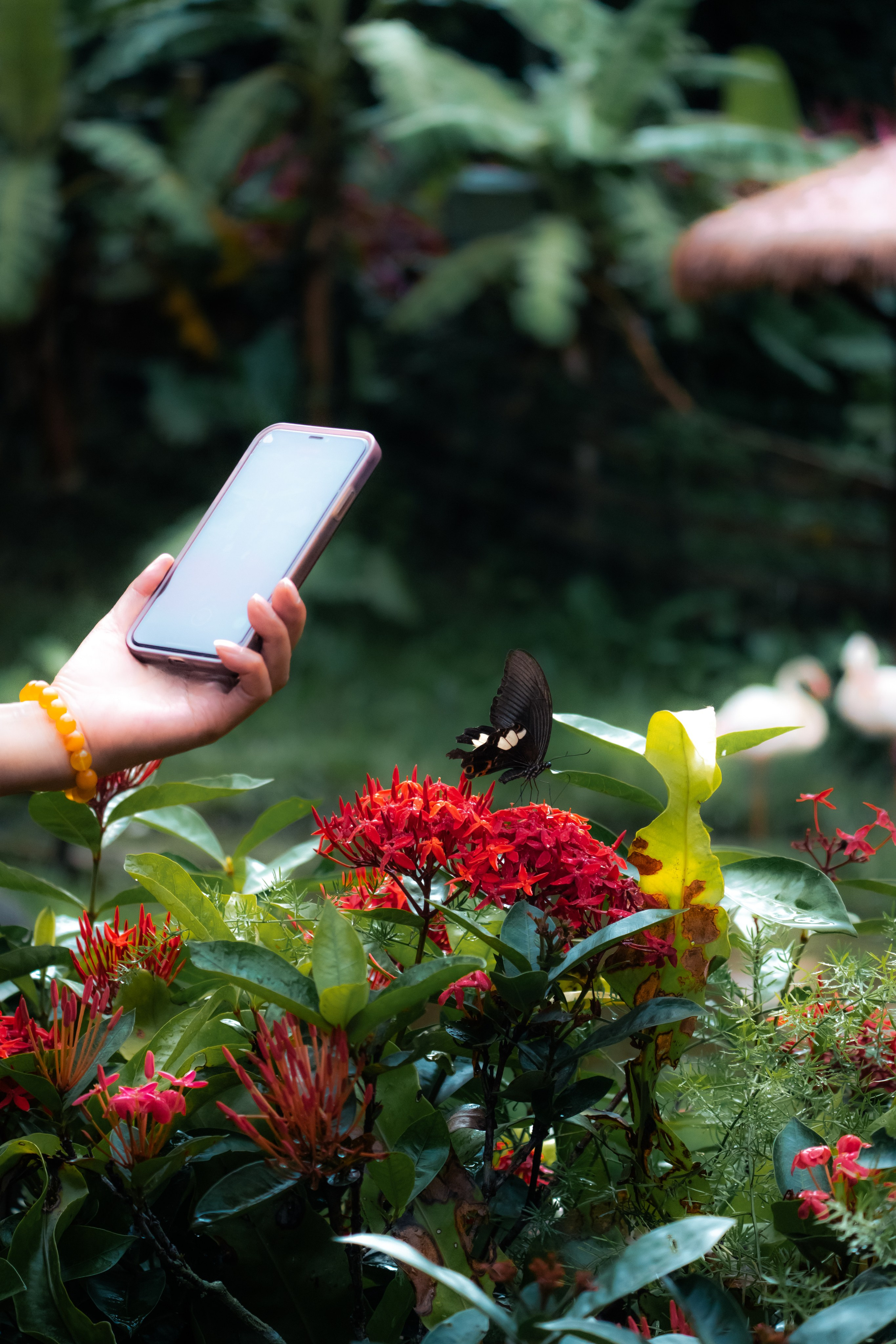 Портфолио Гончаренко Павел. Ма, я фотю📸