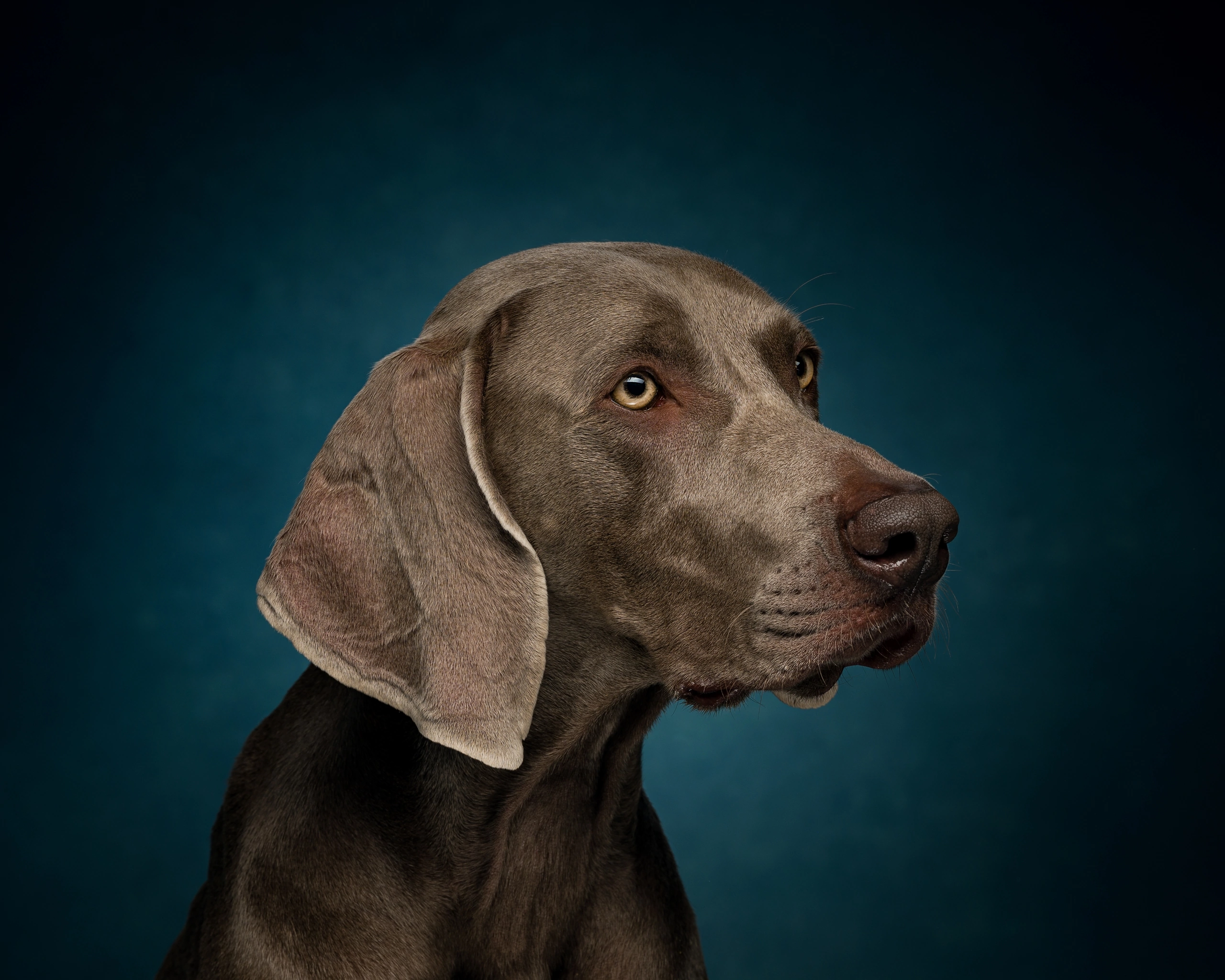 Студийные съемки. Портретный фотограф в Челябинске Катерина Руди