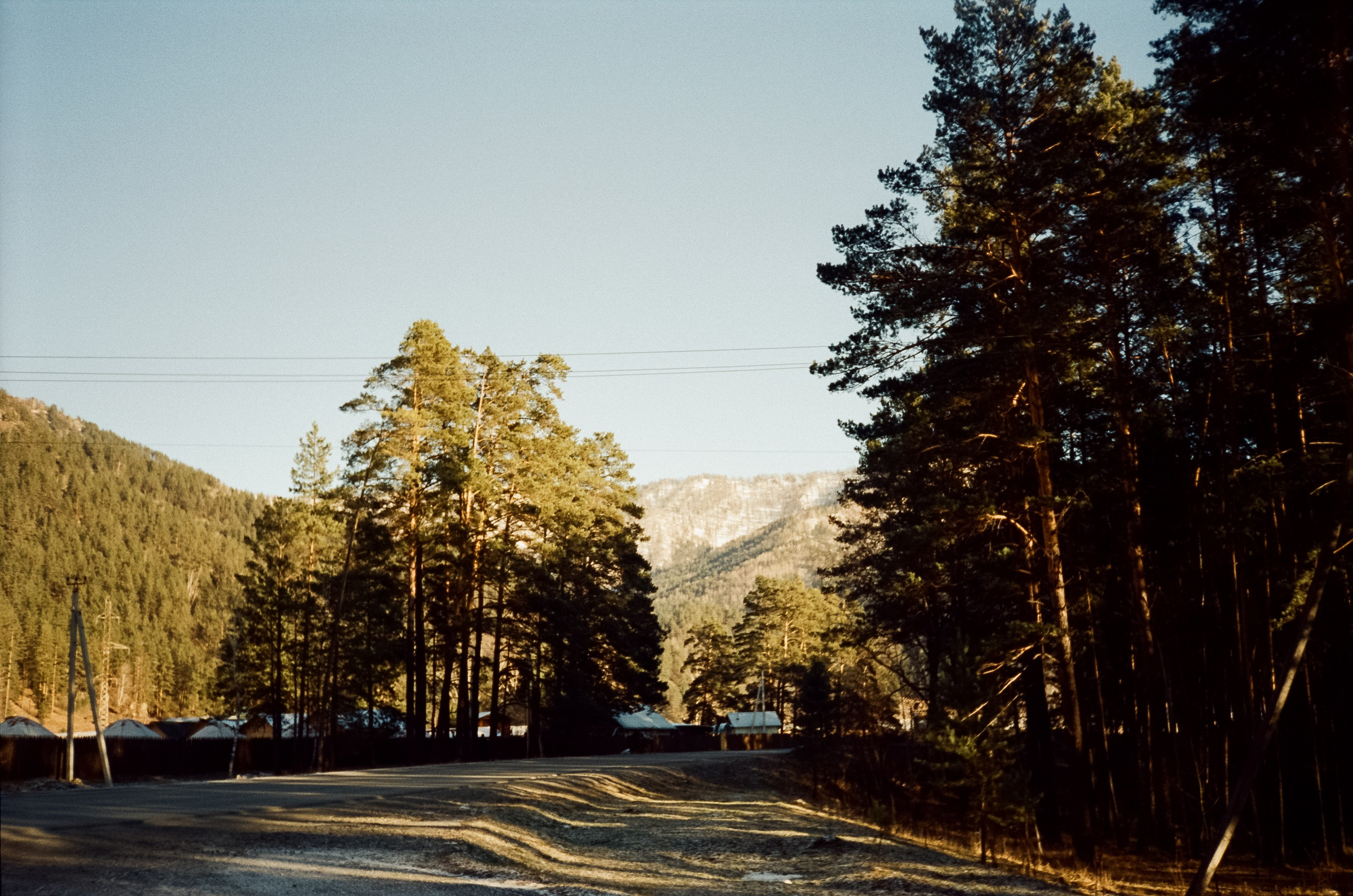 Зимняя Катунь: острова, льды, скалы у базы Берель. Зеленые сосны и. Фотограф-документалист Мария Осокина