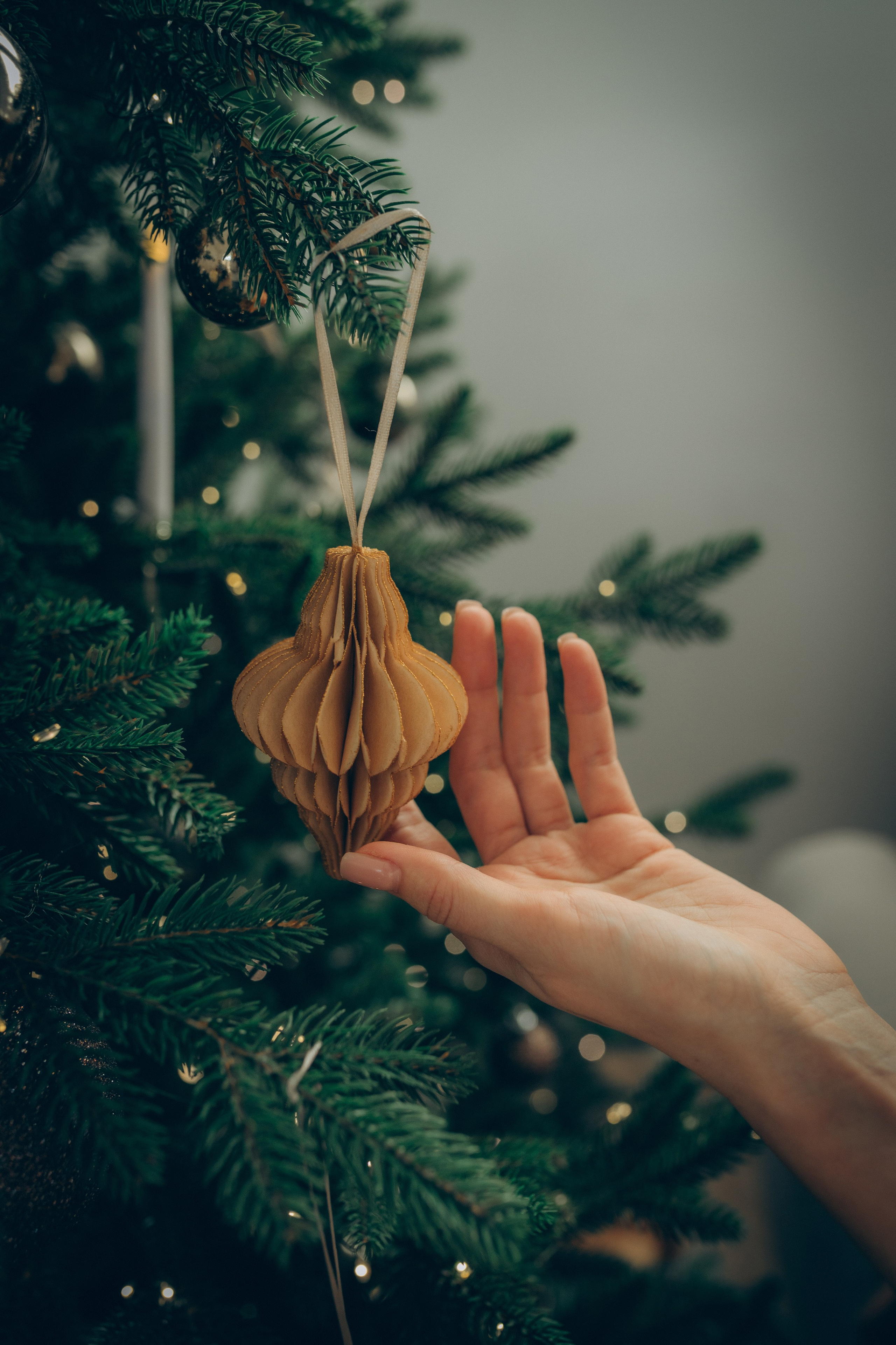 New year famyli. Семейный фотограф и фотограф на роды в Ростове-на-Дону Мухина Виктория