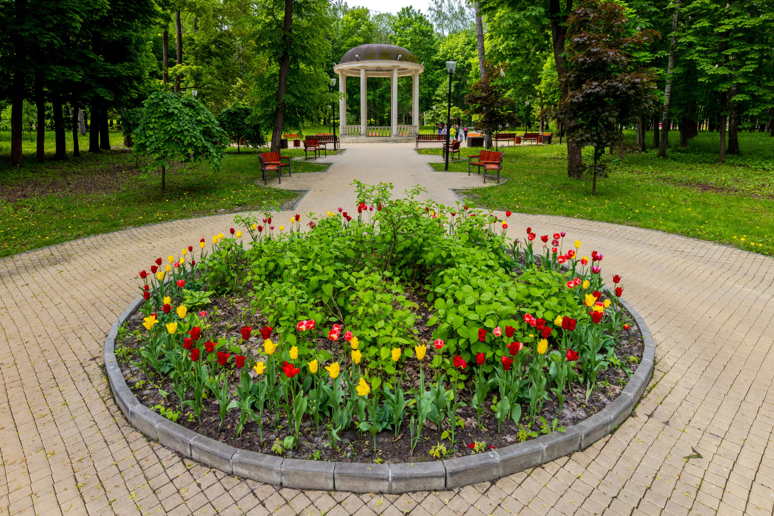 Парк им. П. П. Белоусова г. Тула 2024 г. Фотограф в Туле Крупский АнДРей. Фотостудия «КАДР71» в Туле