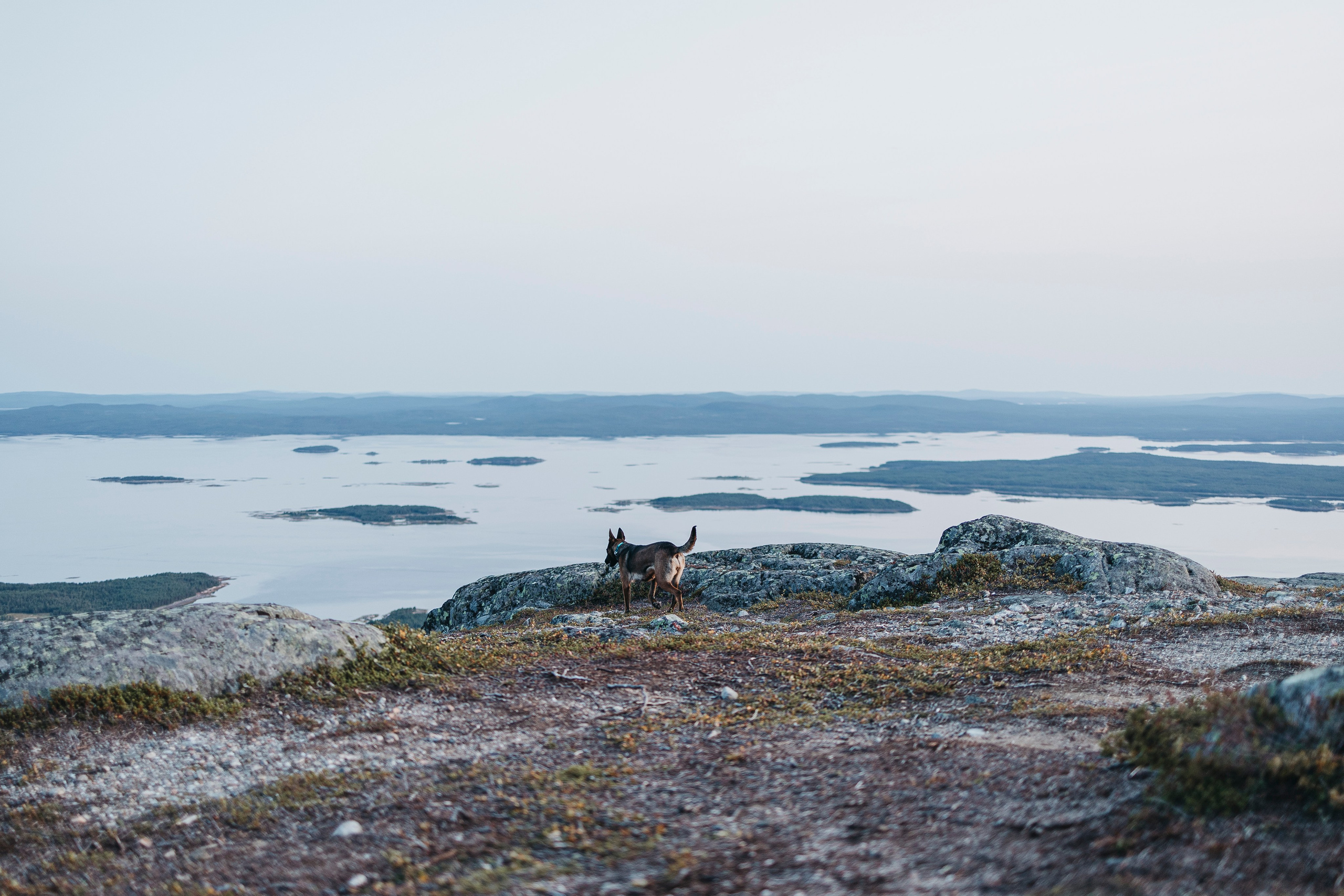 Горы. Фотограф-анималист Анна Маринич