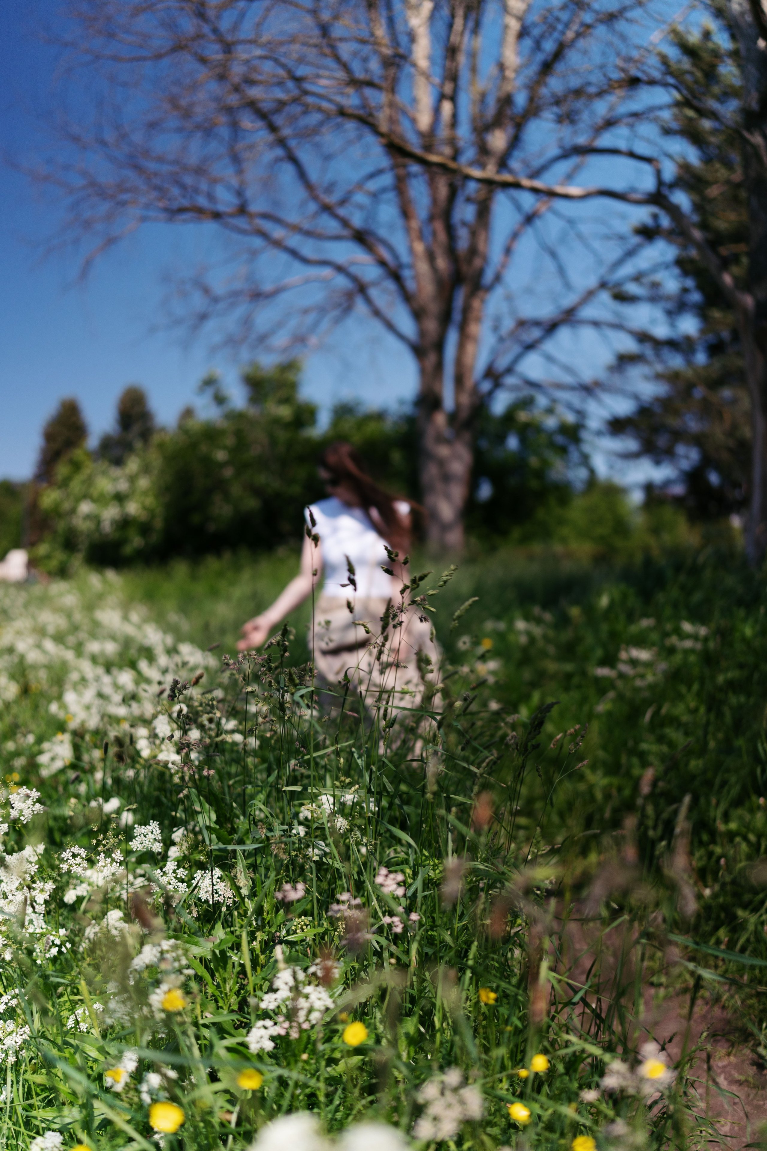 Парк. Баев Дмитрий — фотограф из СПБ