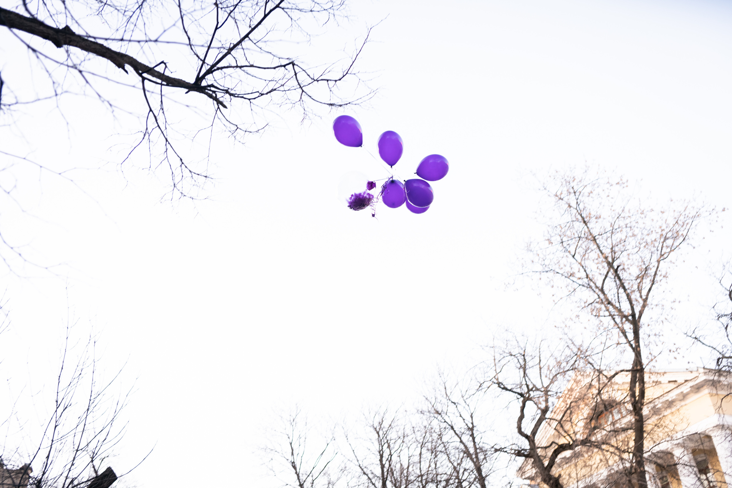 Владислав и Ирина. Семейный и детский фотограф в Москве Евгения Миронова