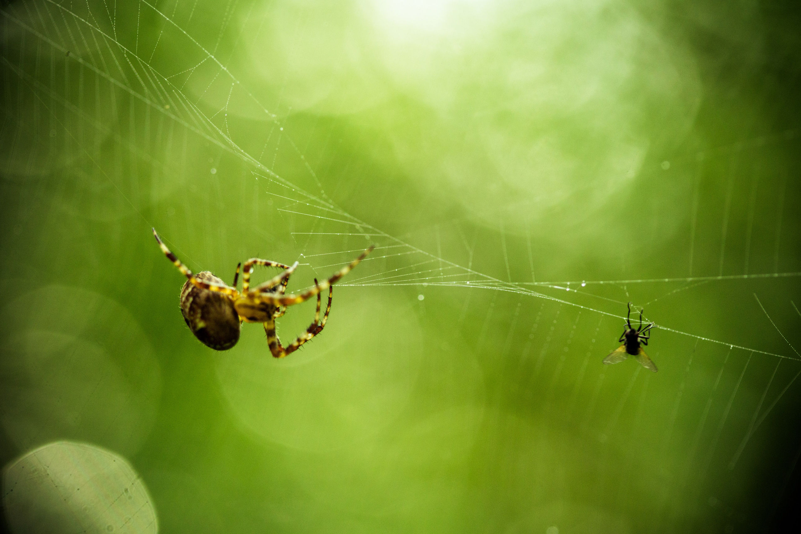 Фото Природы Забайкалья. Студия Максима Белослюдцева