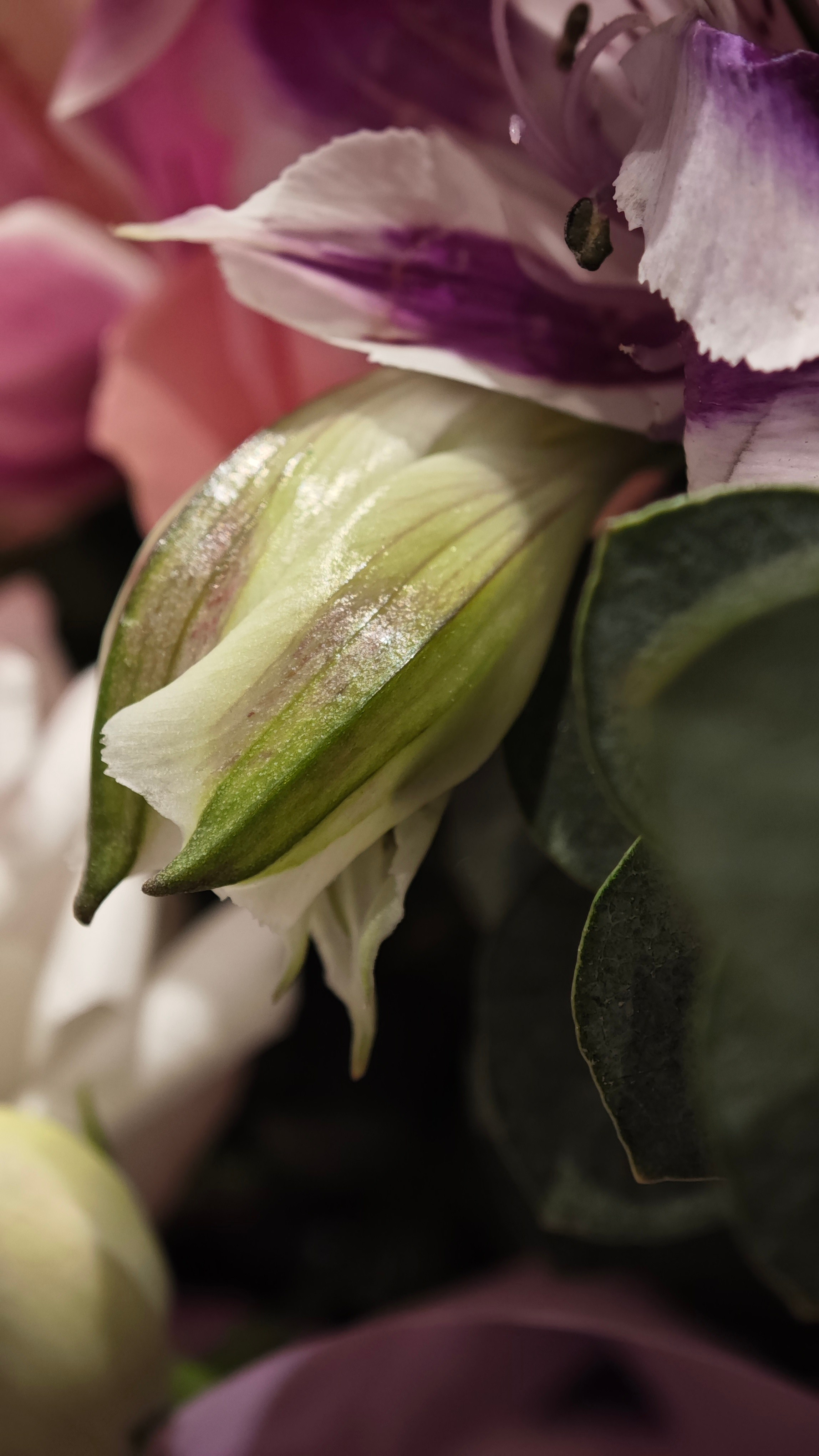 Встречи оффлайн/нетворкинг. Контент фотограф в Москве Кати Федотова