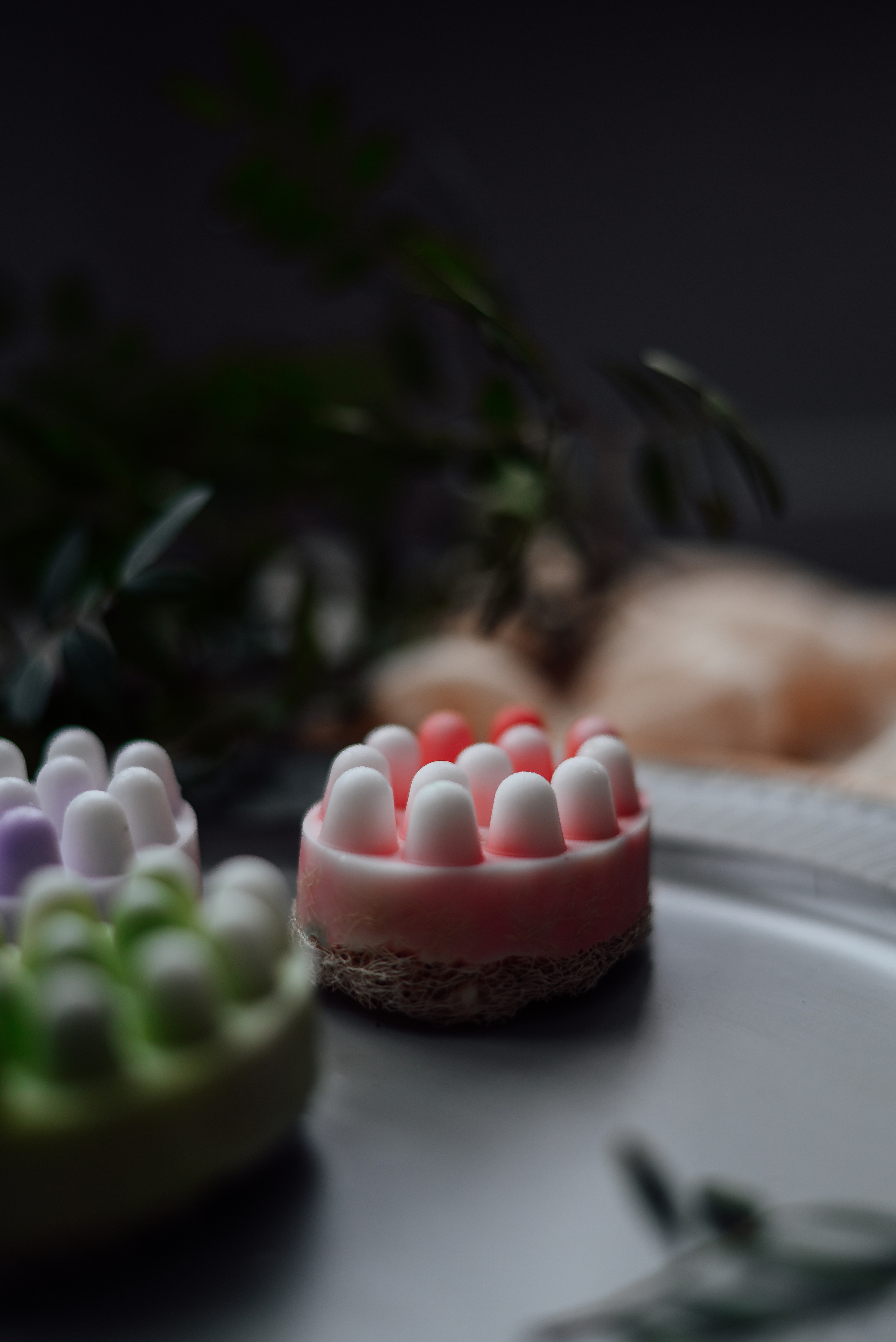 ZARA SPA MARKET. Фотограф Полина Вишневецкая г. Барнаул