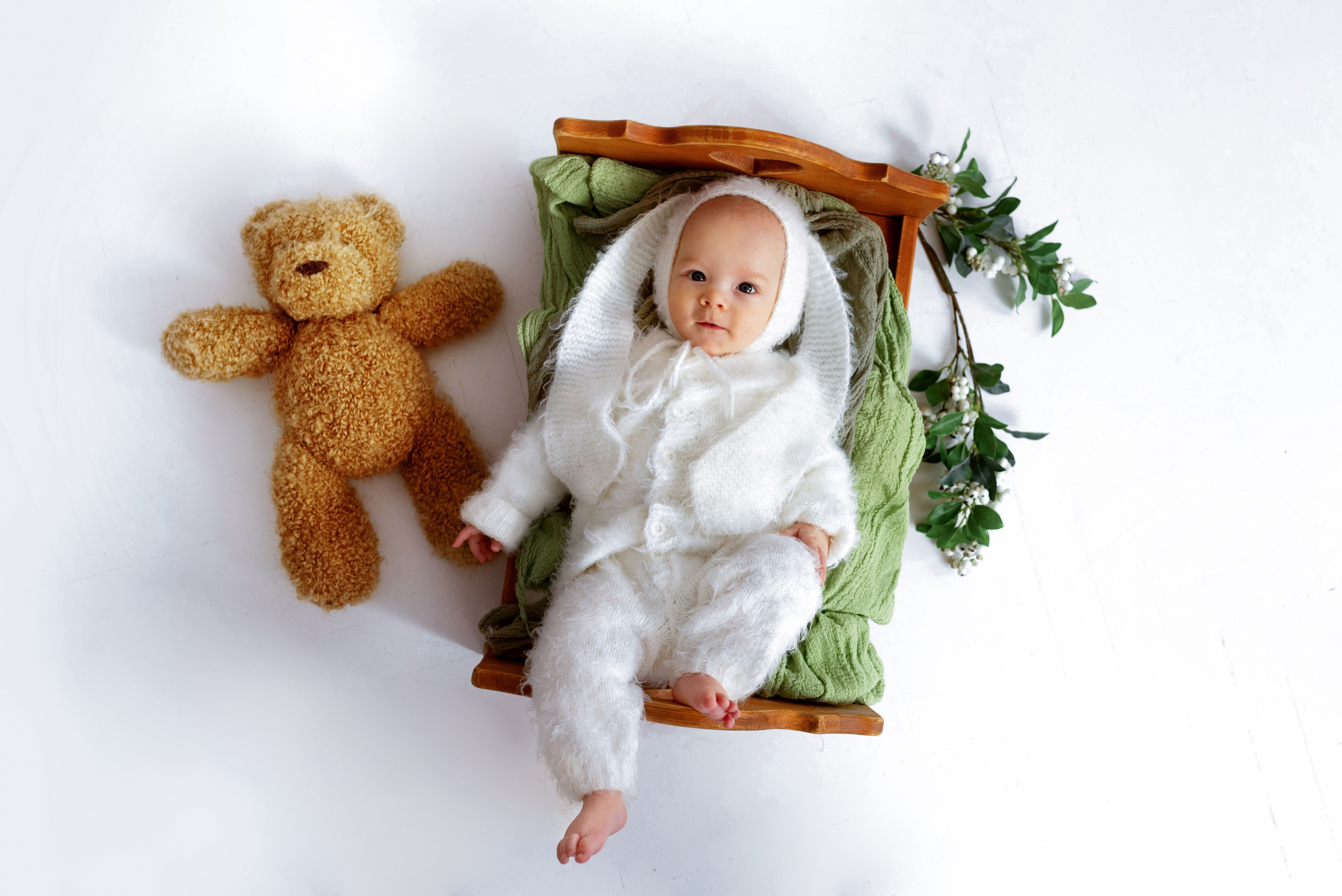 Лев (3 месяца)