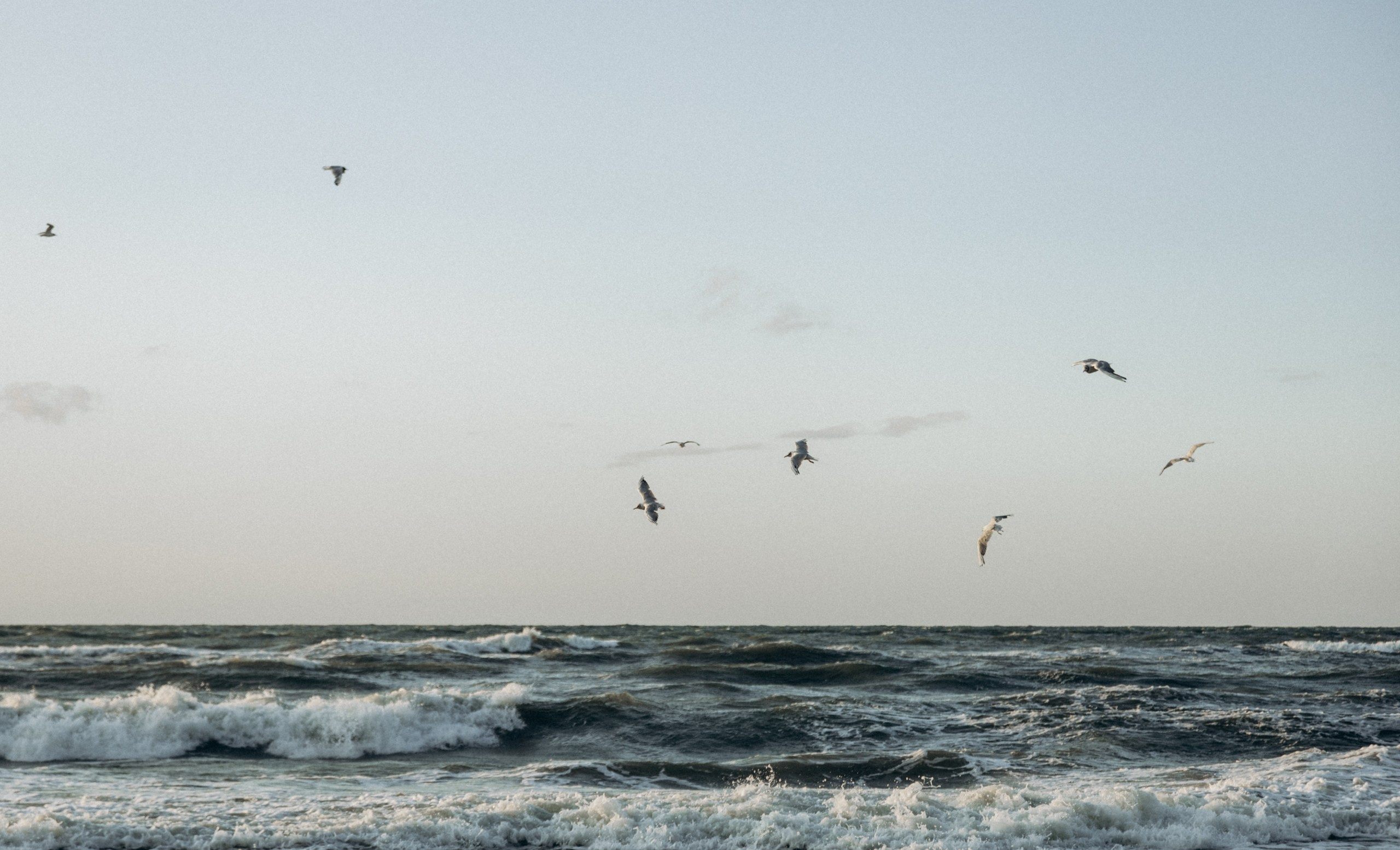 Zelenogradsk. Свадебный и портретный фотограф в Калининграде Наталия Еник