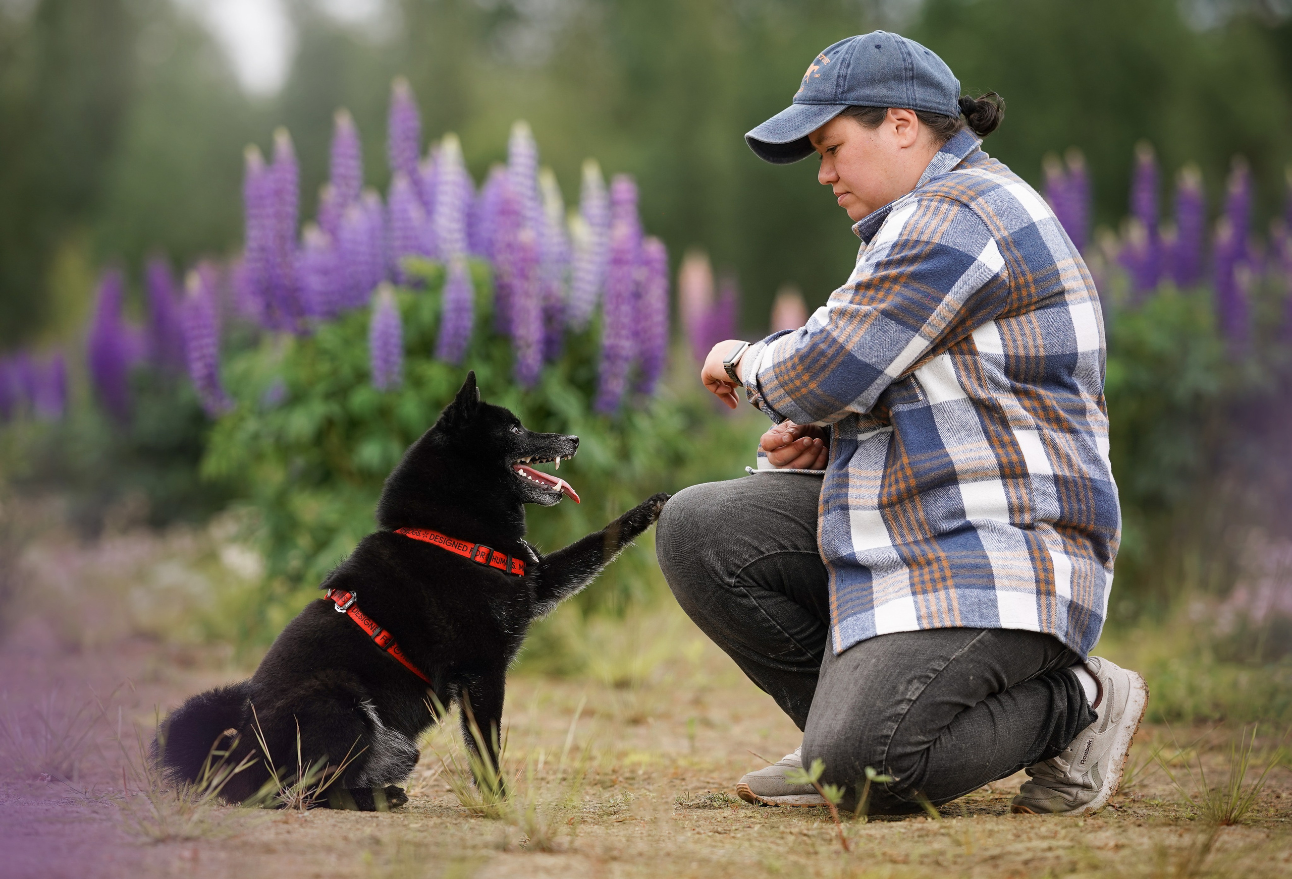 Аня Арчи и Панда в люпинах. Фотограф-анималист в Санкт-Петербурге Яна Мартынова