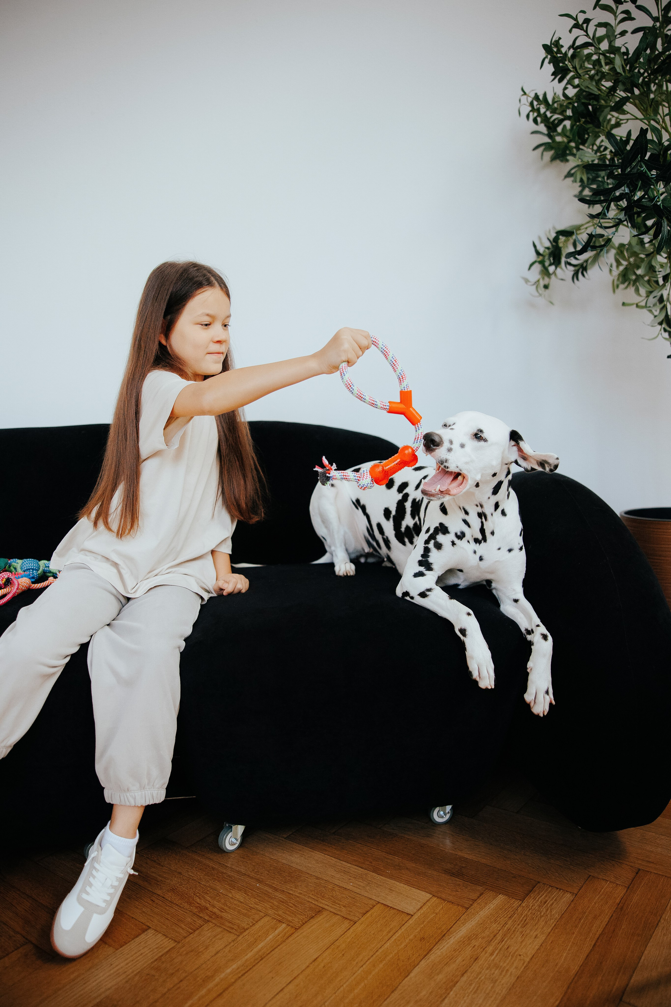 Pawsitive игрушки. Анастасия Белаш