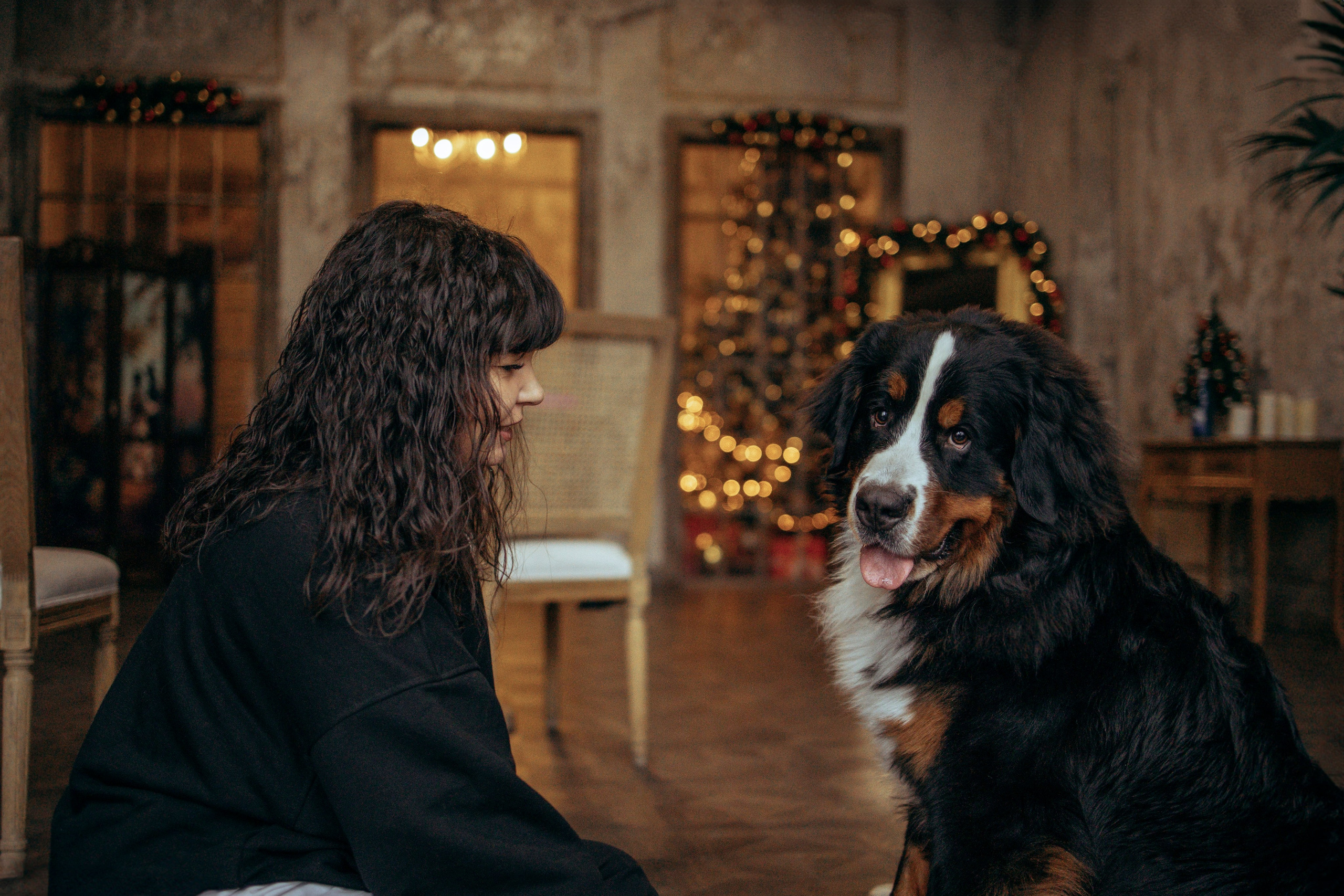 Съемка в студии с собакой. Анастасия Белаш