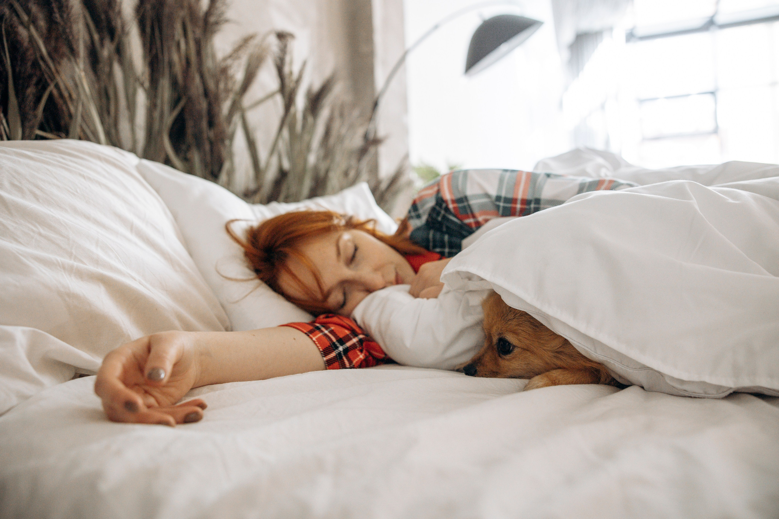 Съемка в студии с собакой. Анастасия Белаш