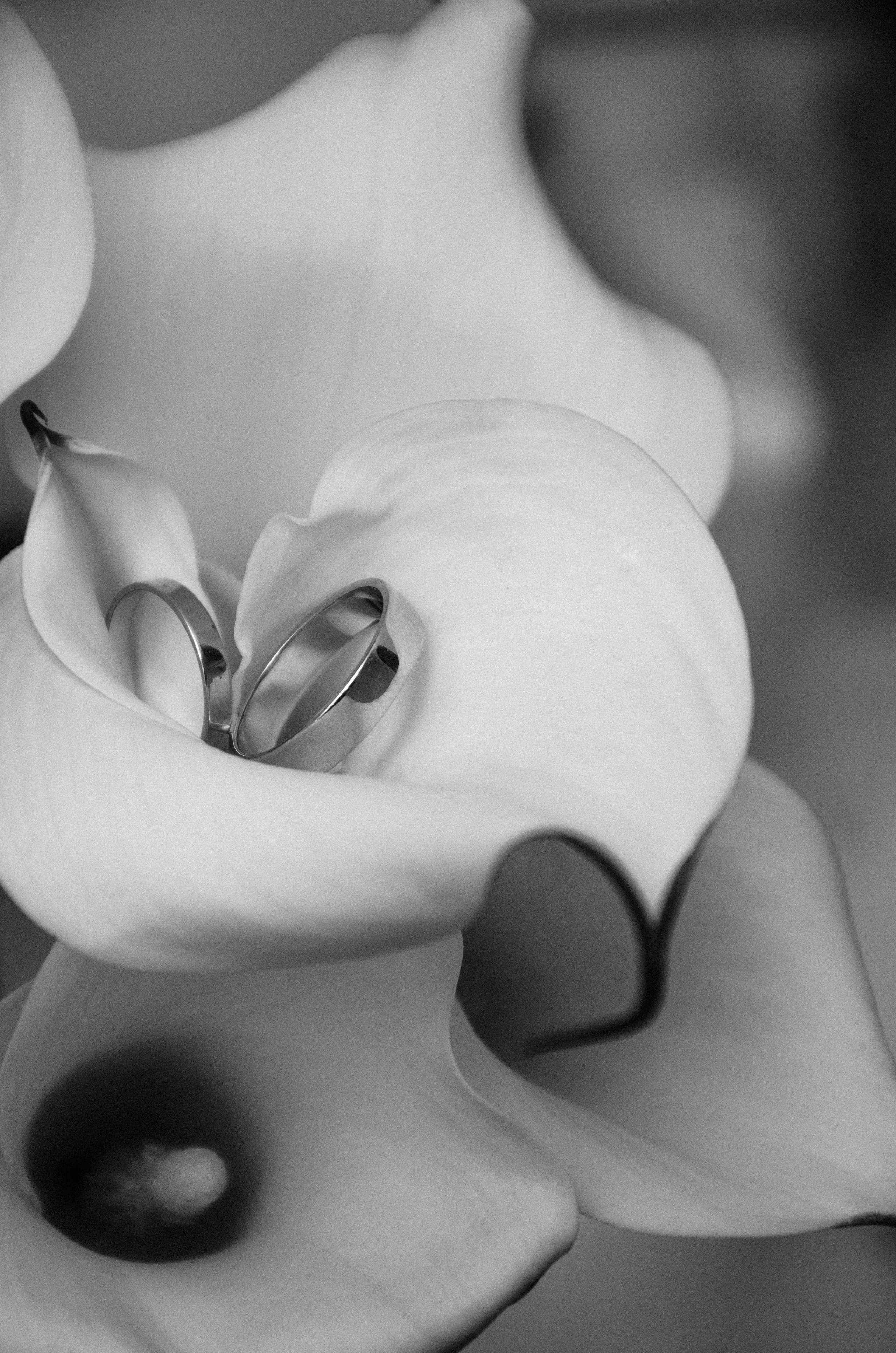 Свадебный фотограф в Волгограде и Краснодаре