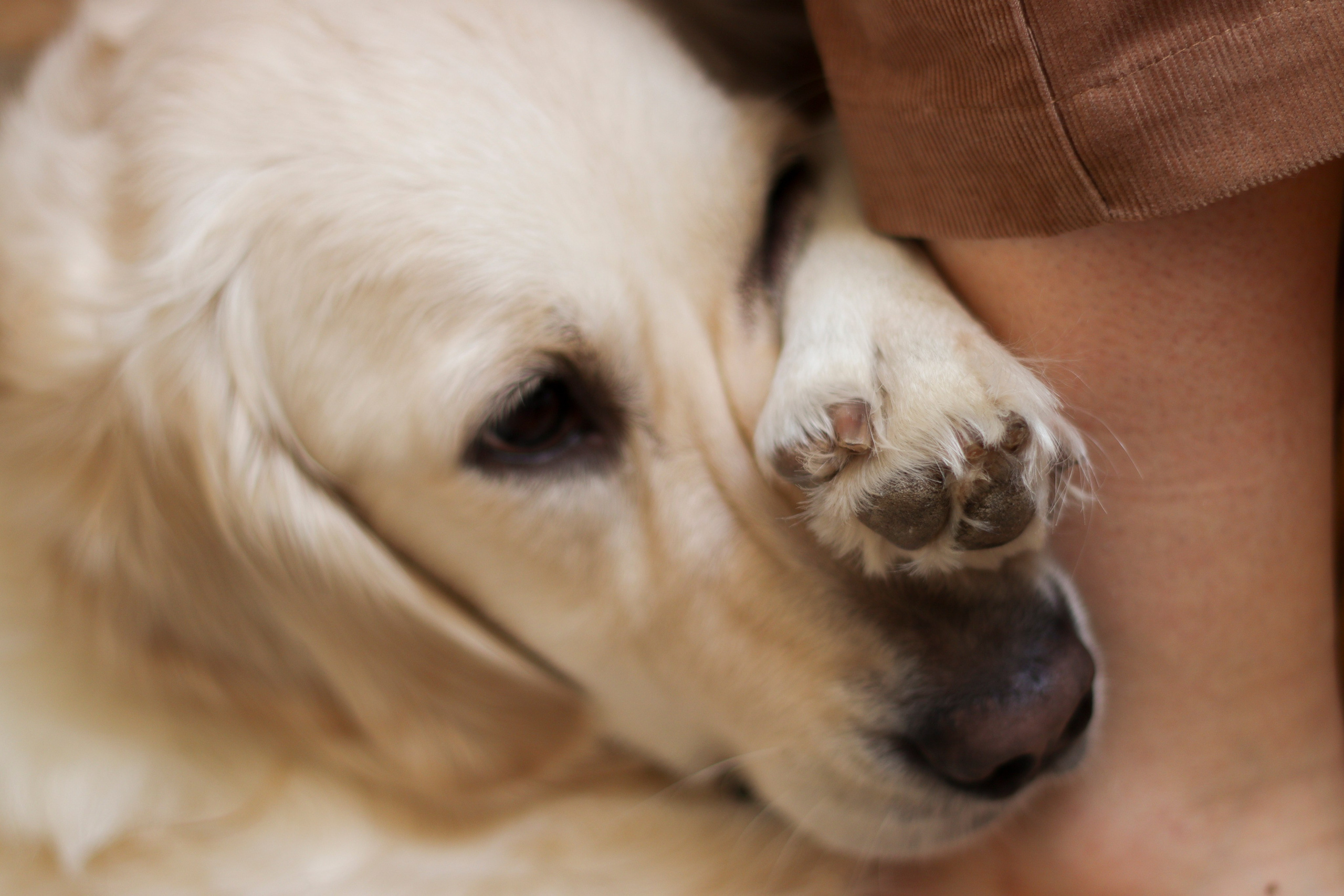 Индивидуальная съёмка. Семейный и детский фотограф в Туле
