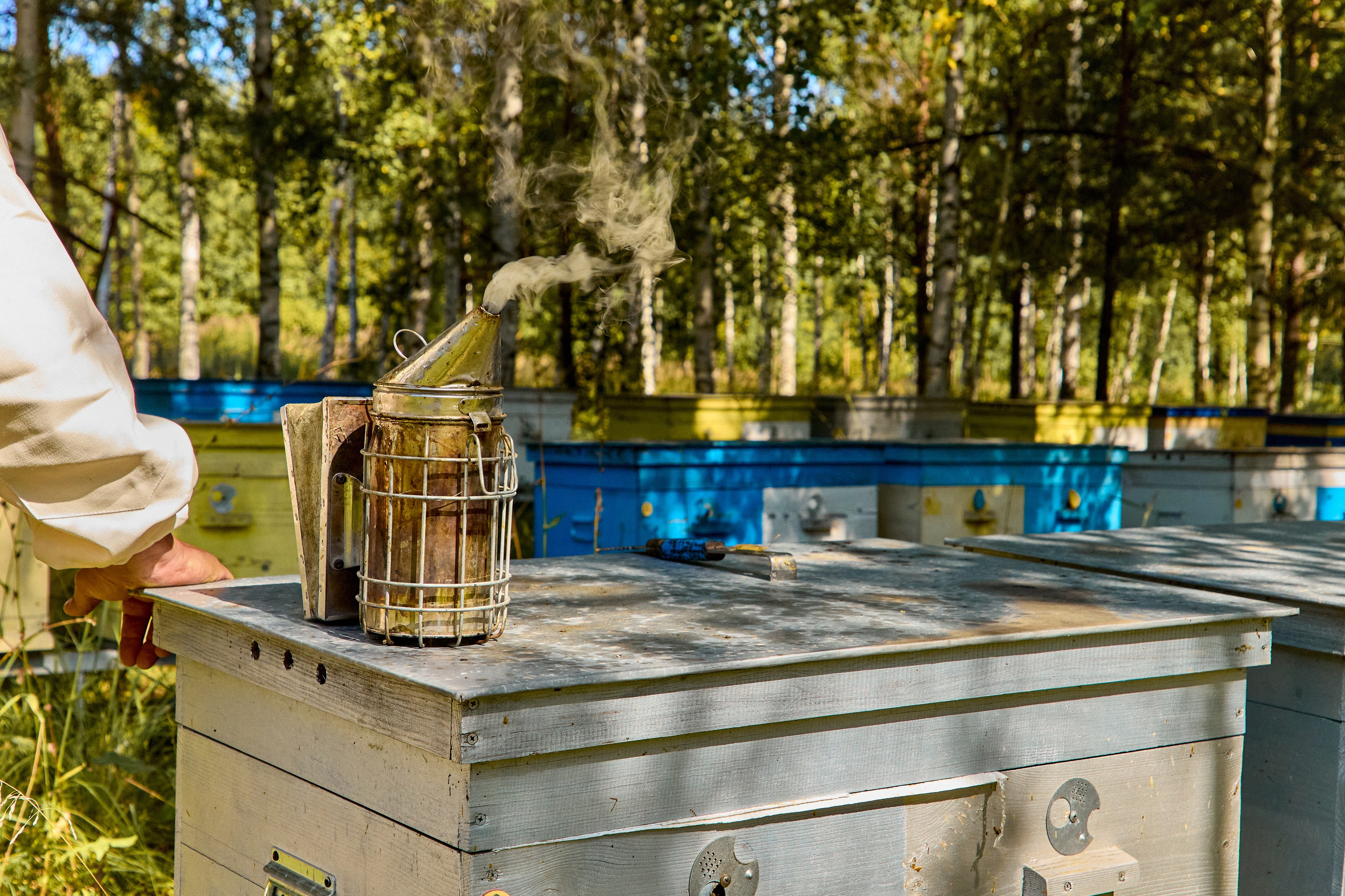 Пчелошеринг х пасека в г. Чебоксары. Святослав Лебедев | Рекламный фотограф — Коммерческая съемка, Арт-дирекшн, AI-интеграция