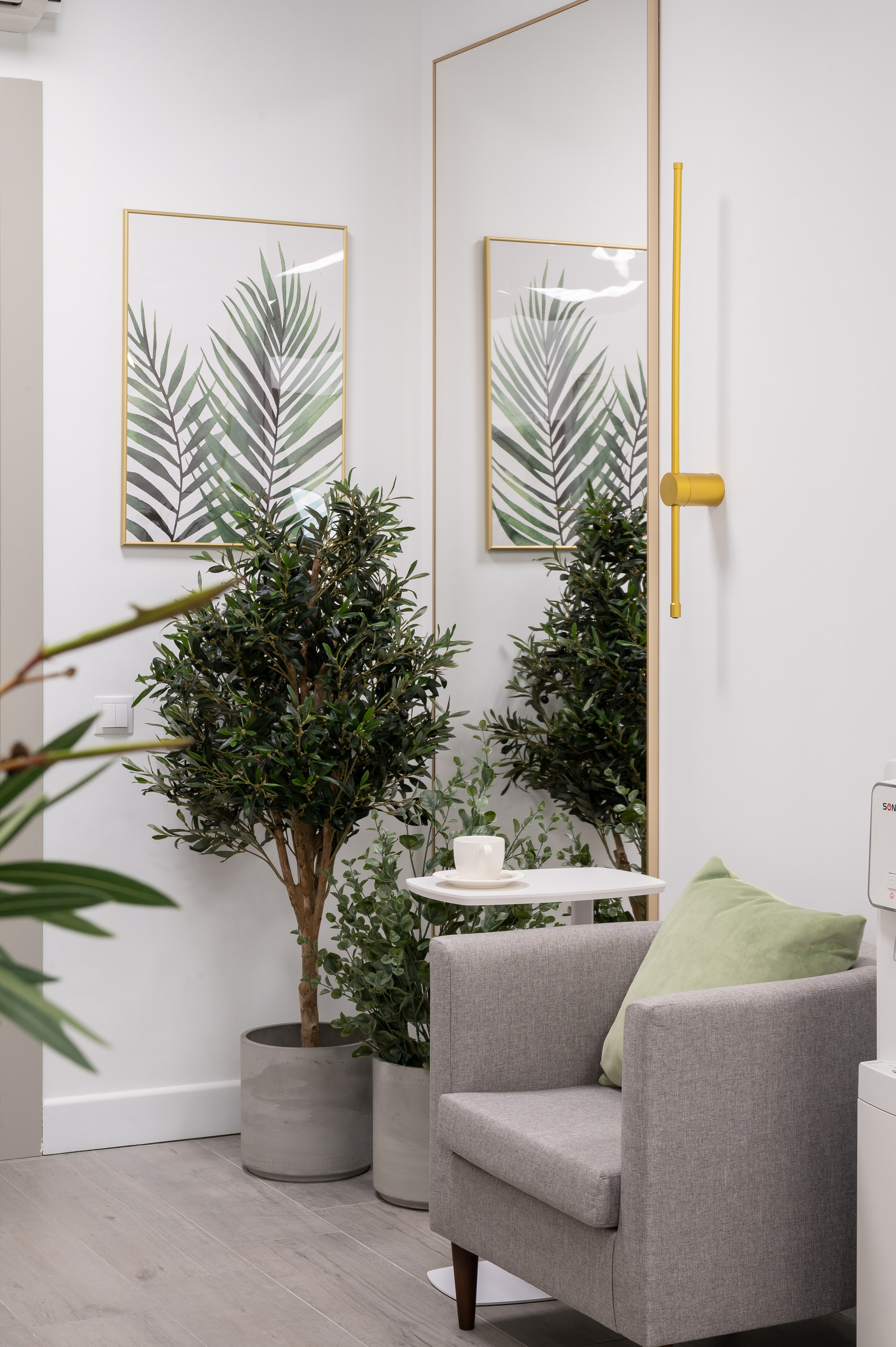 Студия лазерной эпиляции CACTUS. Интерьерный фотограф в Сочи Элина Габриелян