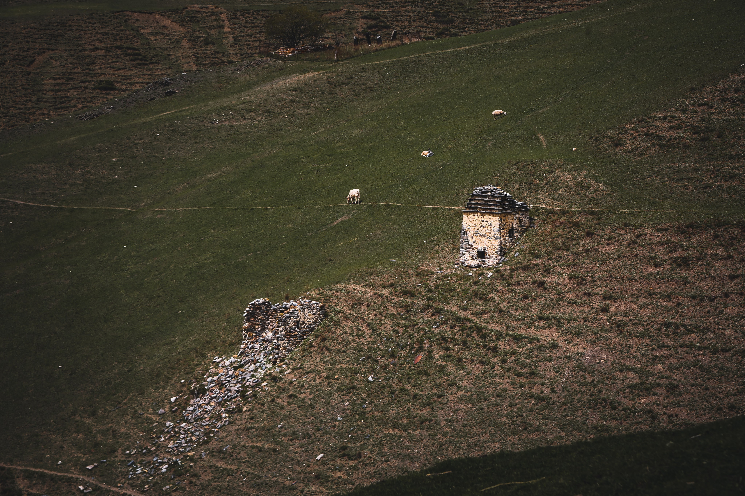 Кавказ: Ингушетия — страна башен. Дарья Письменюк / Darya Leitstern — фотограф, музыкант, журналист, путешественник
