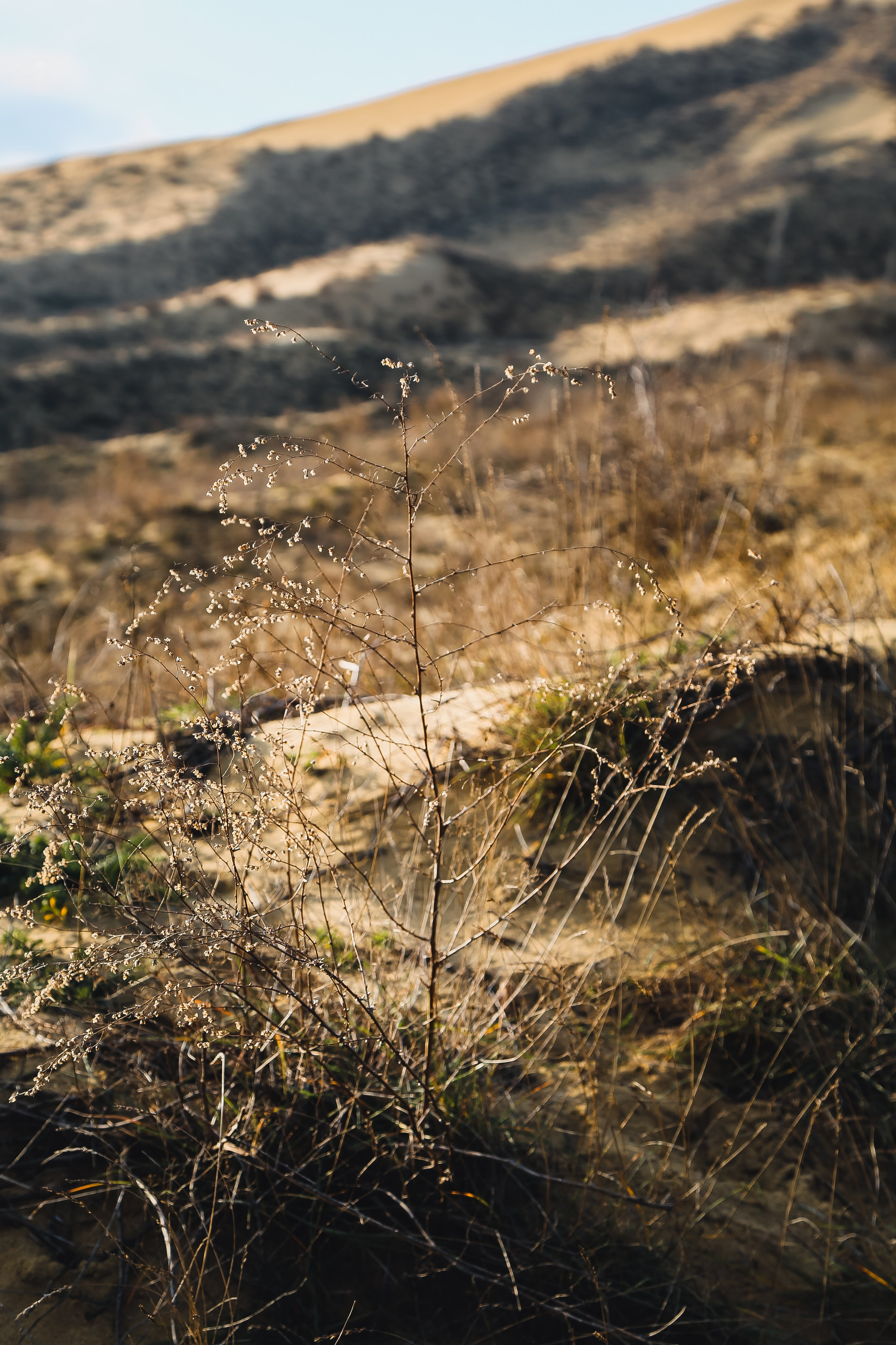 Кавказ: многоликий Дагестан. Дарья Письменюк / Darya Leitstern — фотограф, музыкант, журналист, путешественник